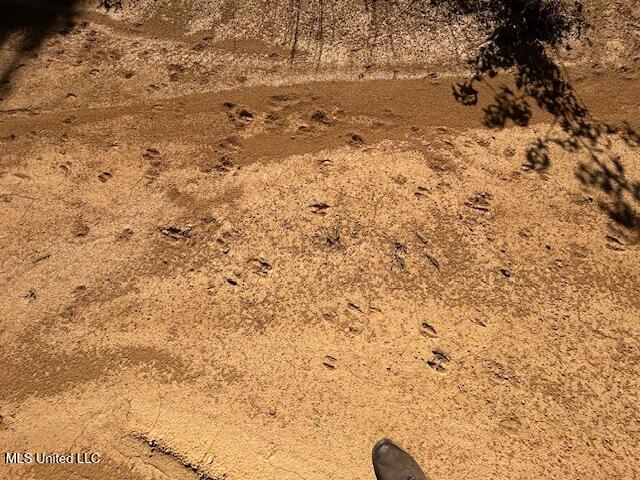 0 County Line Rd Property Photo 6