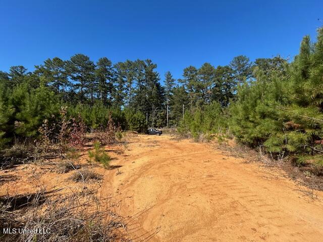 0 County Line Rd Property Photo 7