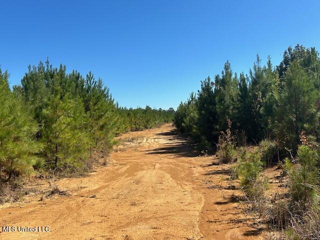 0 County Line Rd Property Photo 8