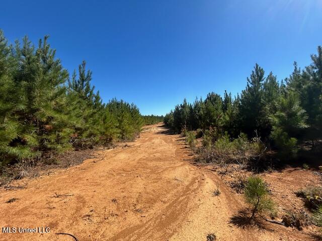 0 County Line Rd Property Photo 9