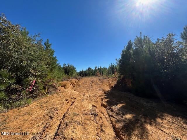 0 County Line Rd Property Photo 10