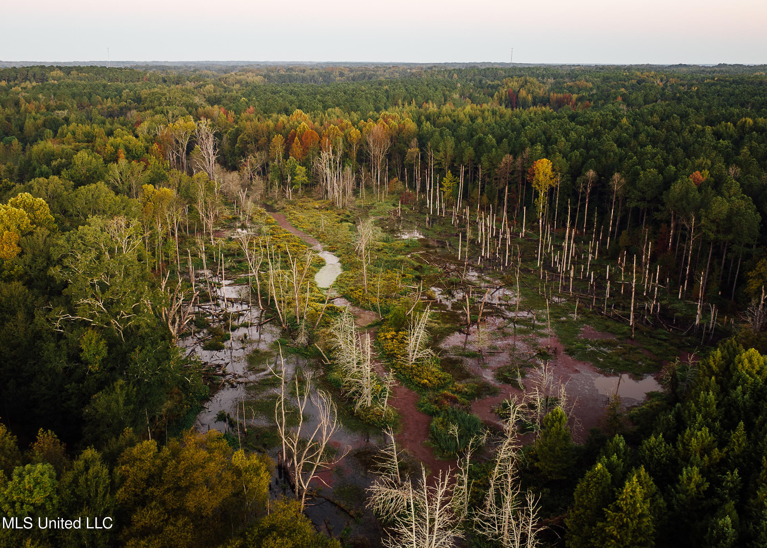 11657 Vaughan Road Property Photo 7