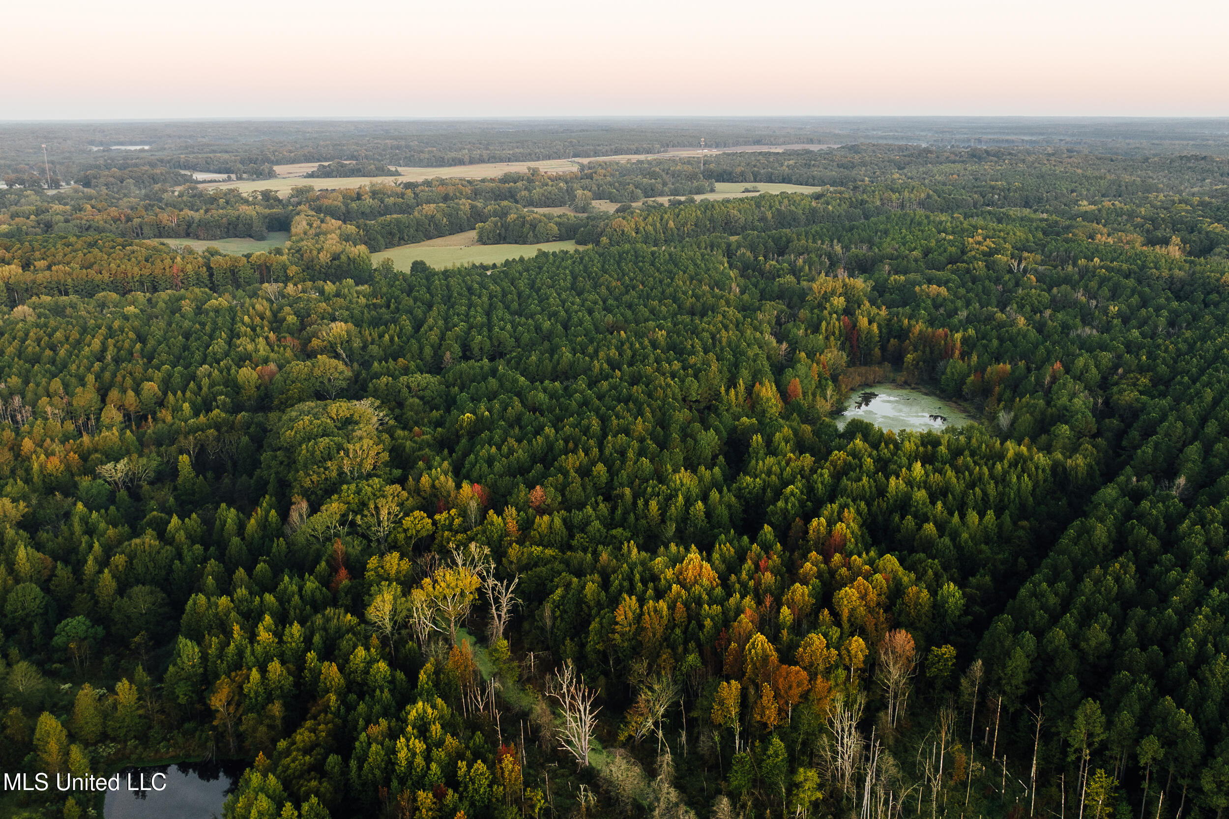 11657 Vaughan Road Property Photo 18