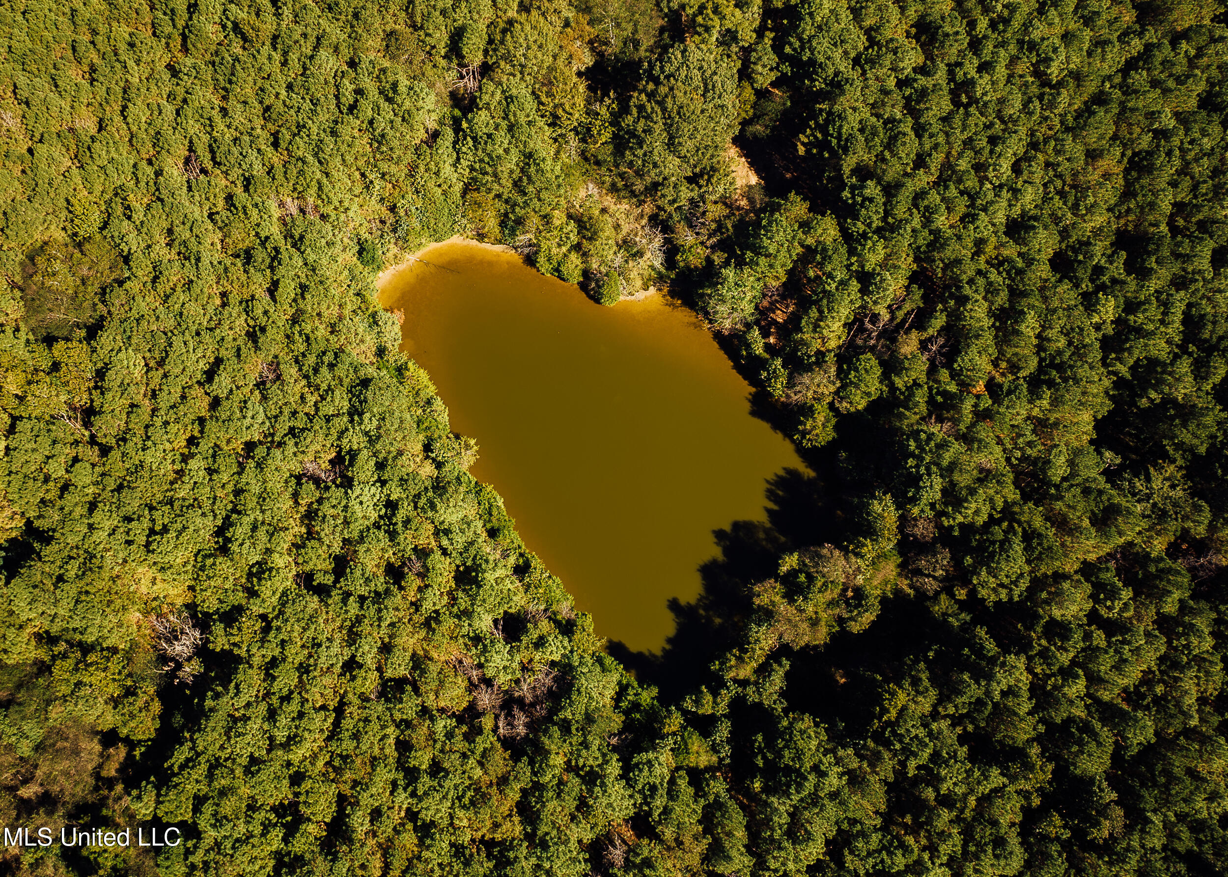 11657 Vaughan Road Property Photo 25