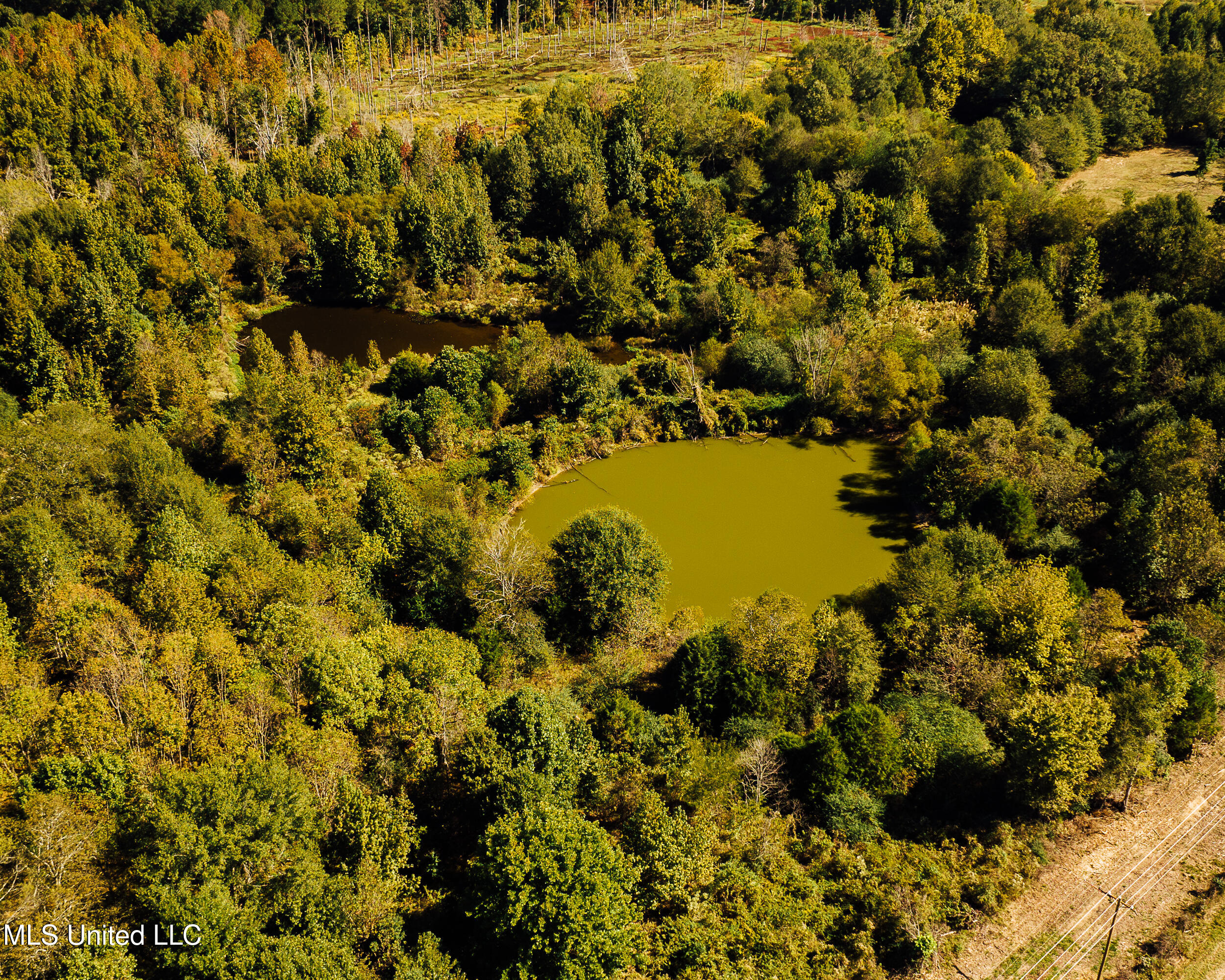 11657 Vaughan Road Property Photo 35