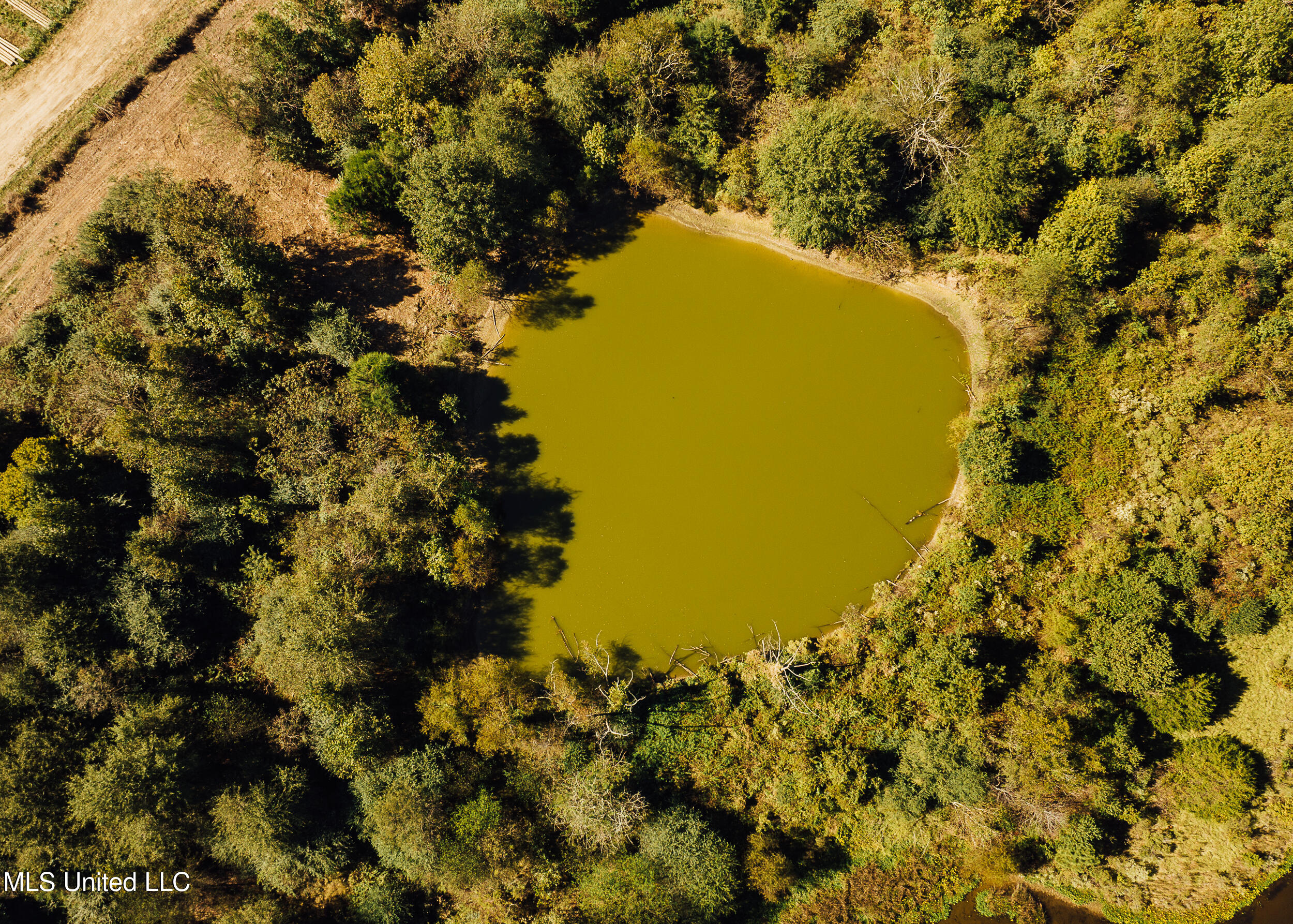 11657 Vaughan Road Property Photo 38