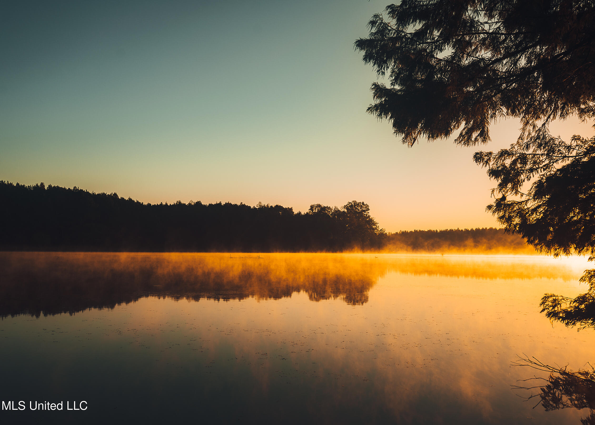 11657 Vaughan Road Property Photo 41