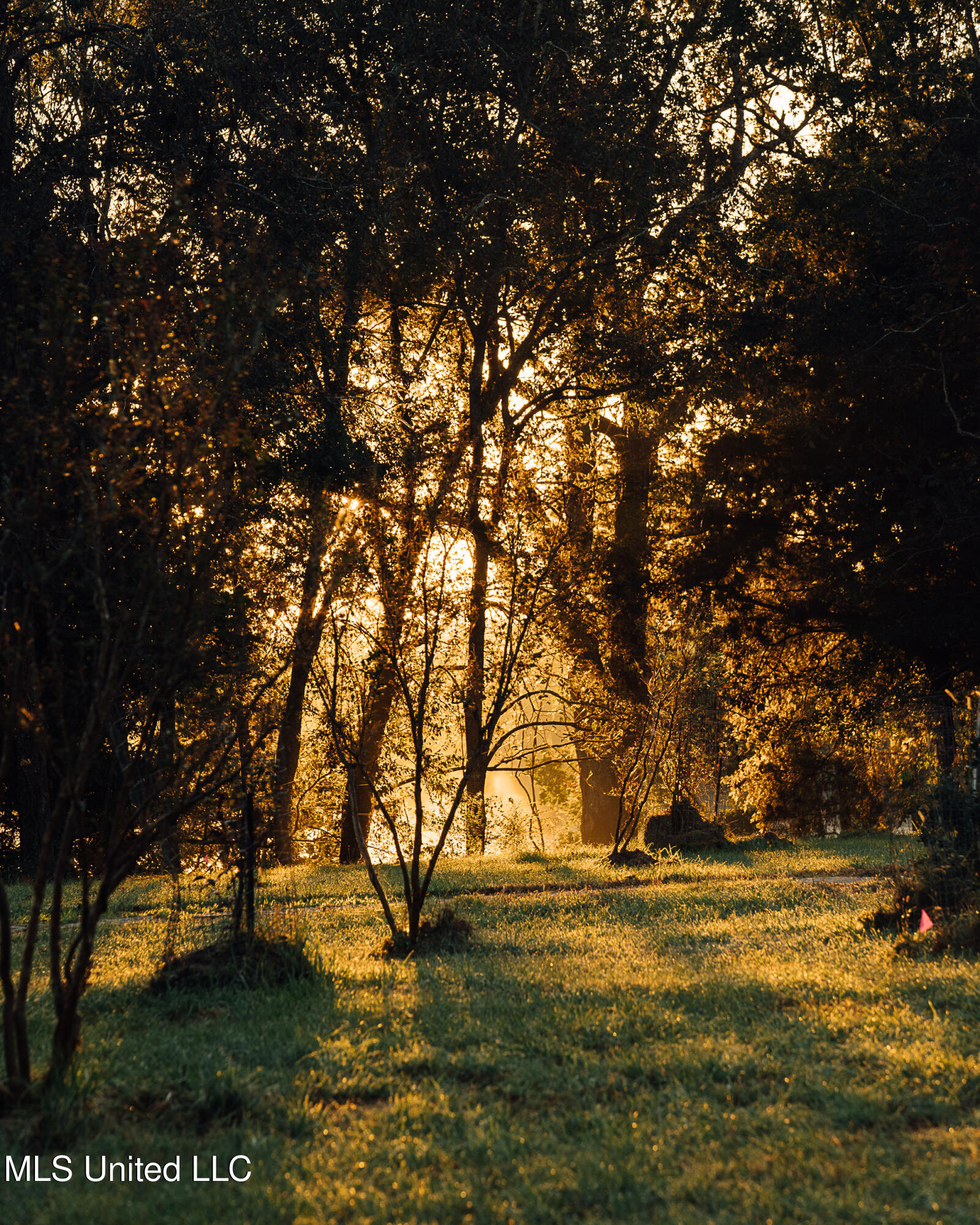 11657 Vaughan Road Property Photo 42