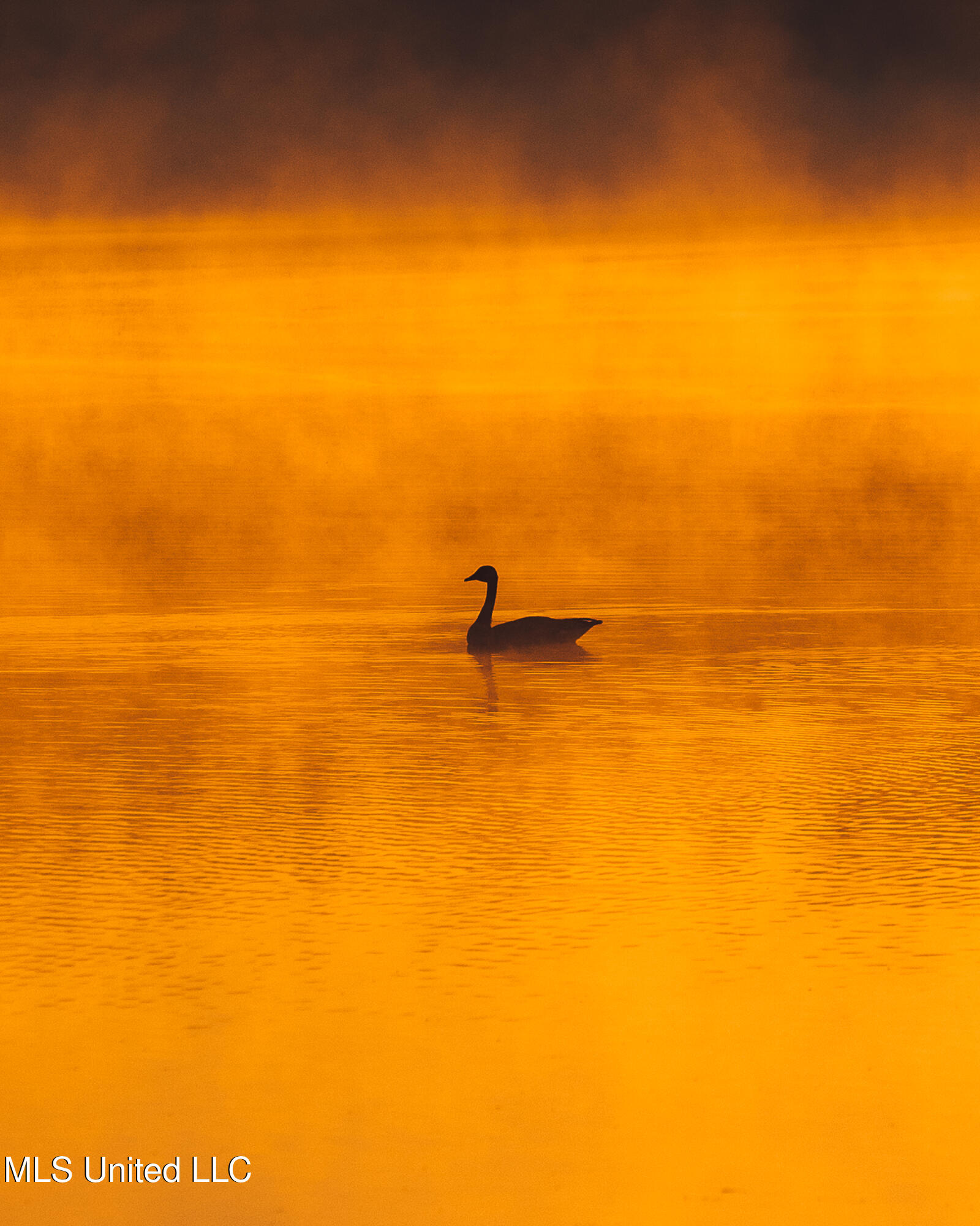 11657 Vaughan Road Property Photo 43