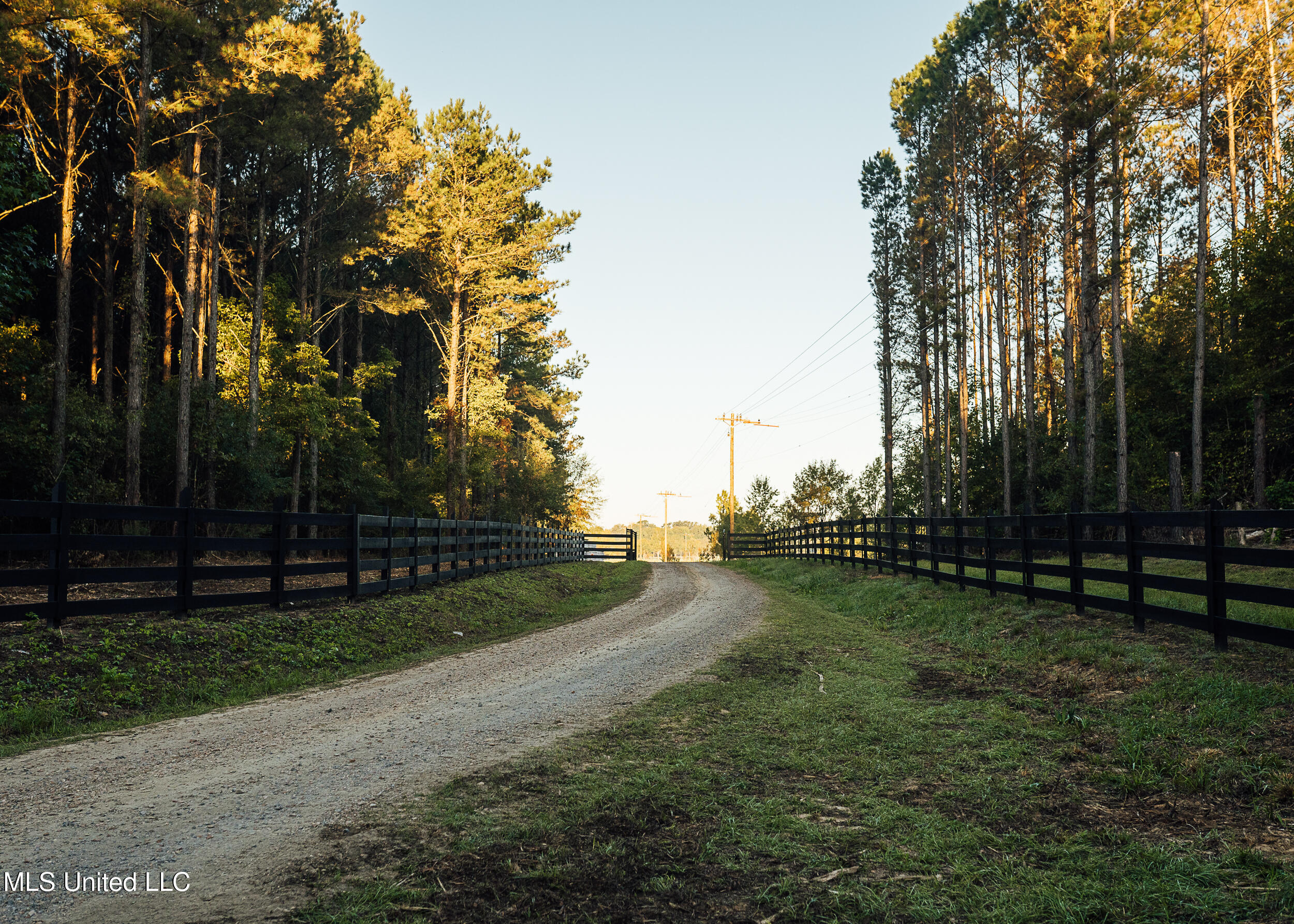 11657 Vaughan Road Property Photo 44