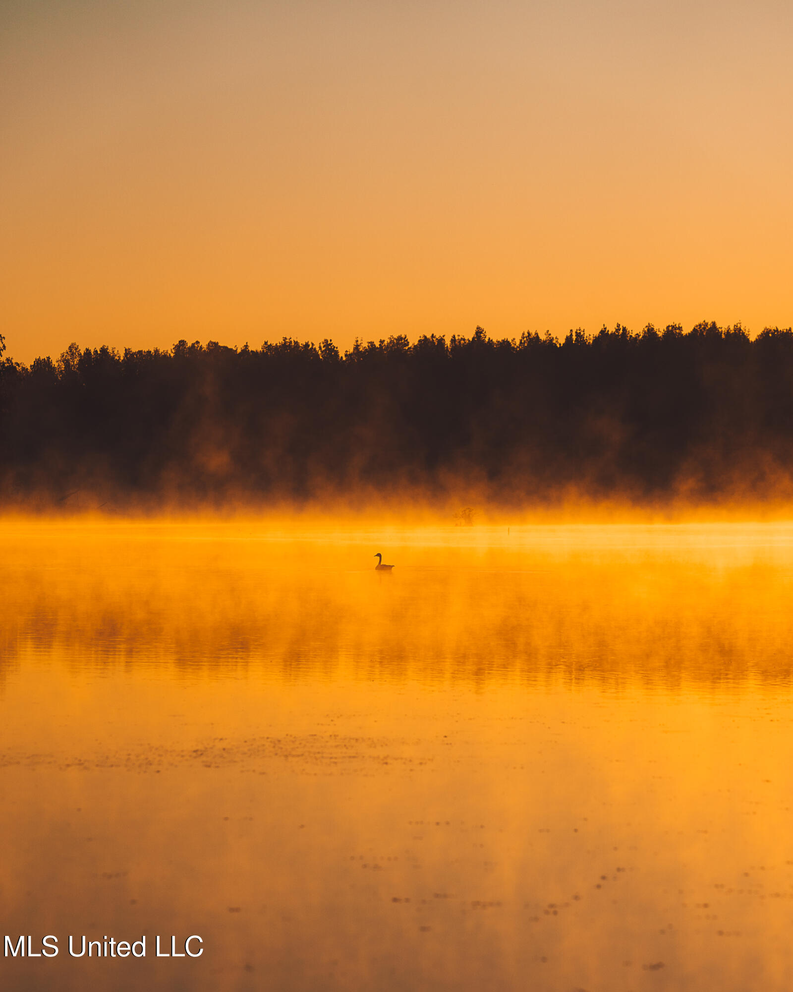 11657 Vaughan Road Property Photo 45