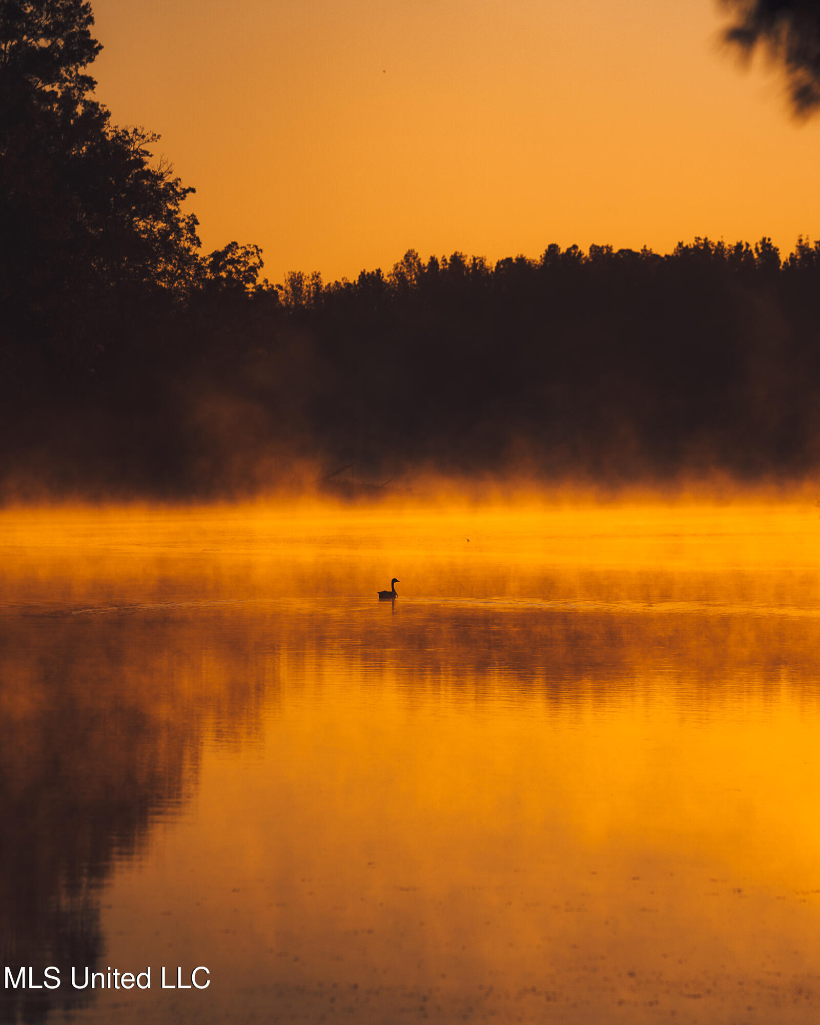 11657 Vaughan Road Property Photo 46