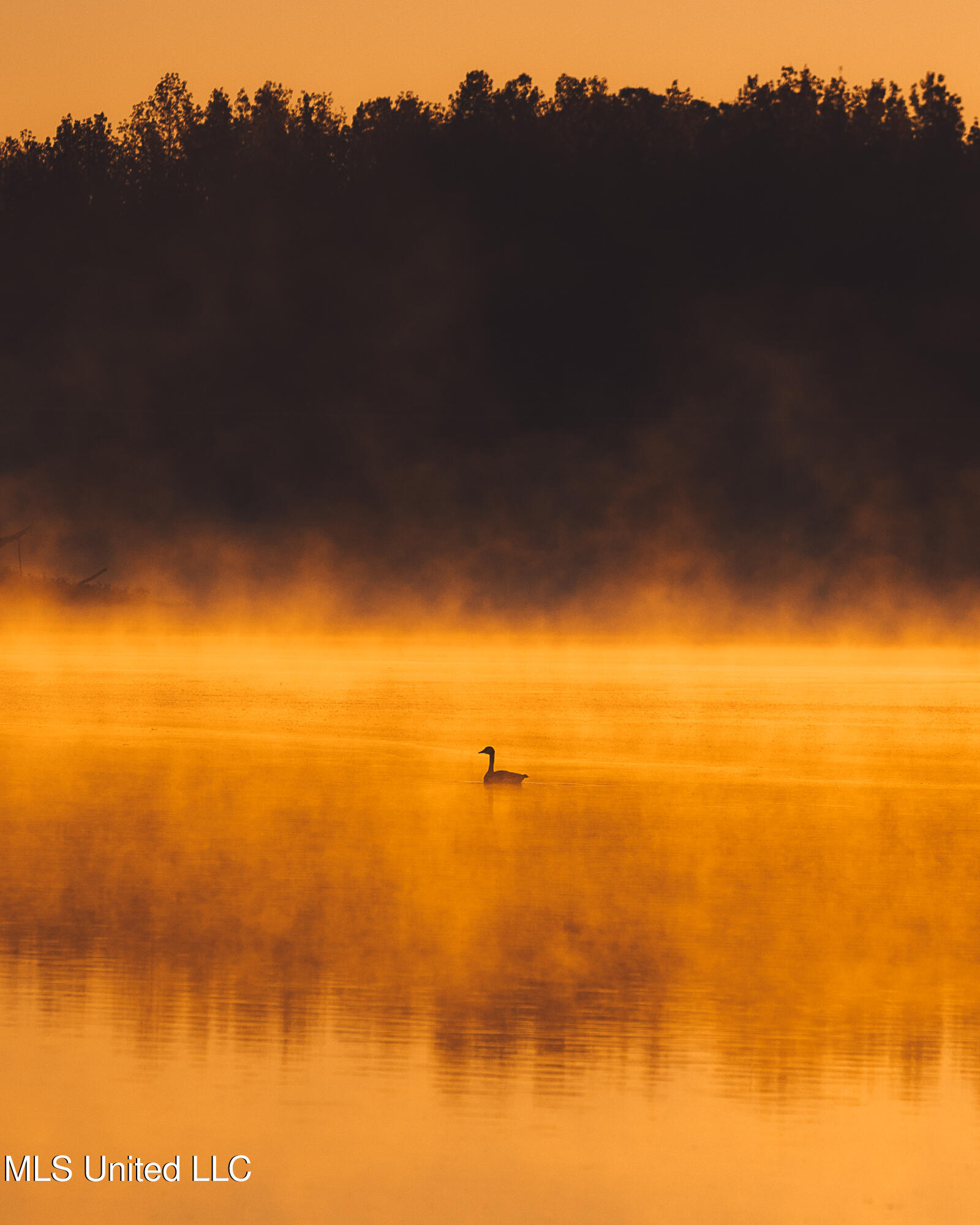 11657 Vaughan Road Property Photo 47