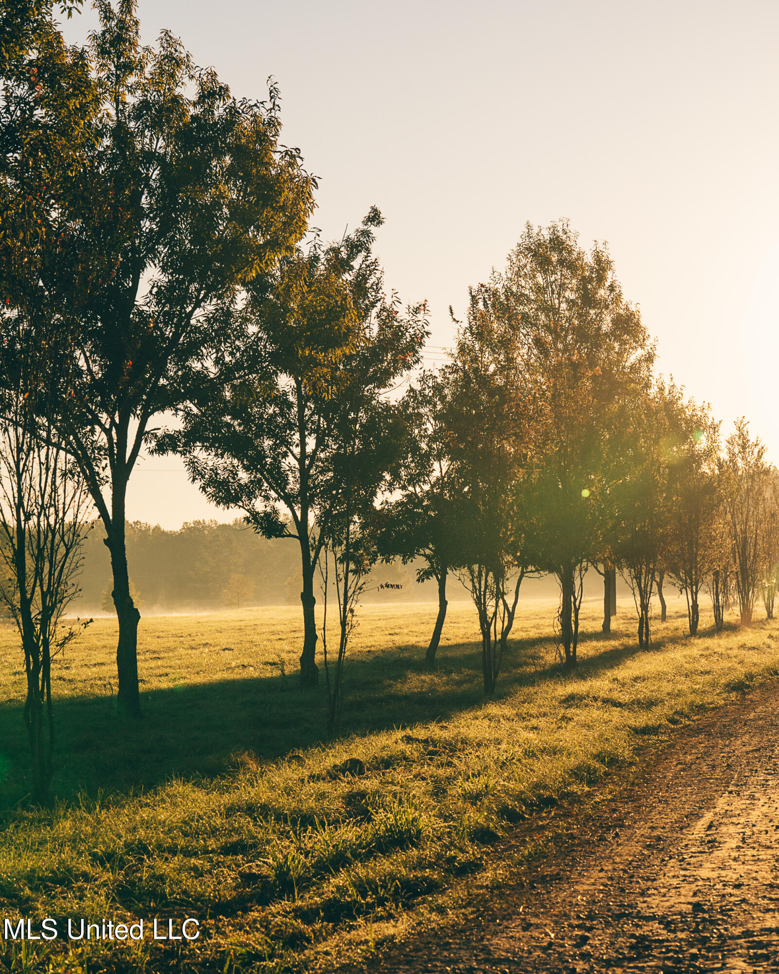 11657 Vaughan Road Property Photo 48