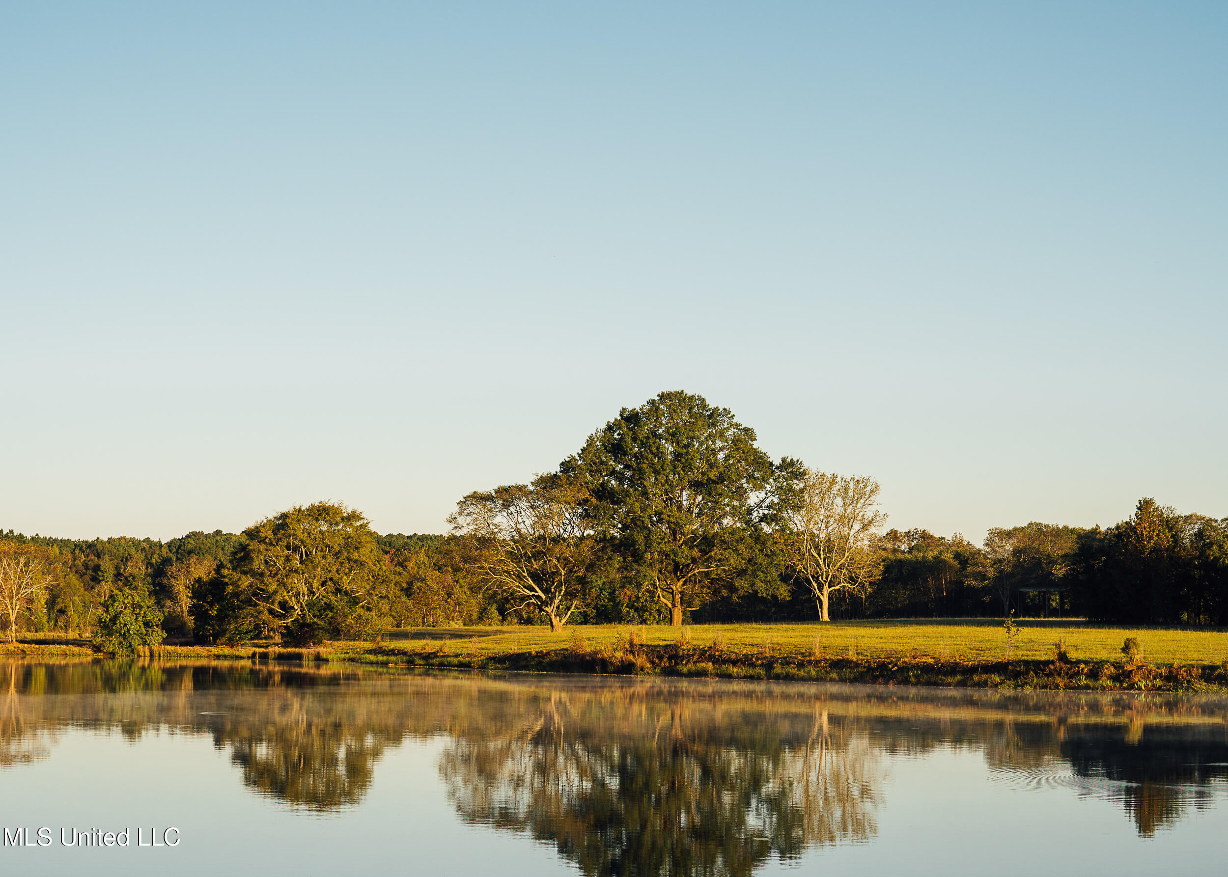 11657 Vaughan Road Property Photo 52