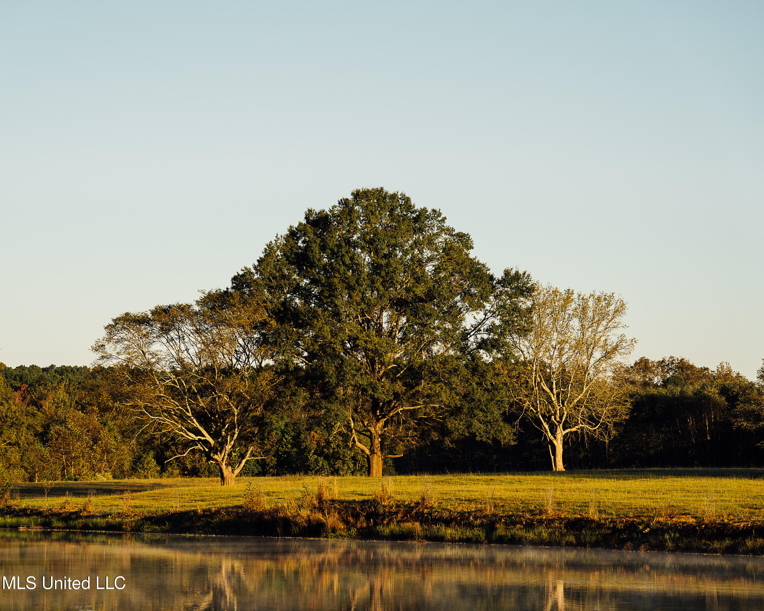11657 Vaughan Road Property Photo 53