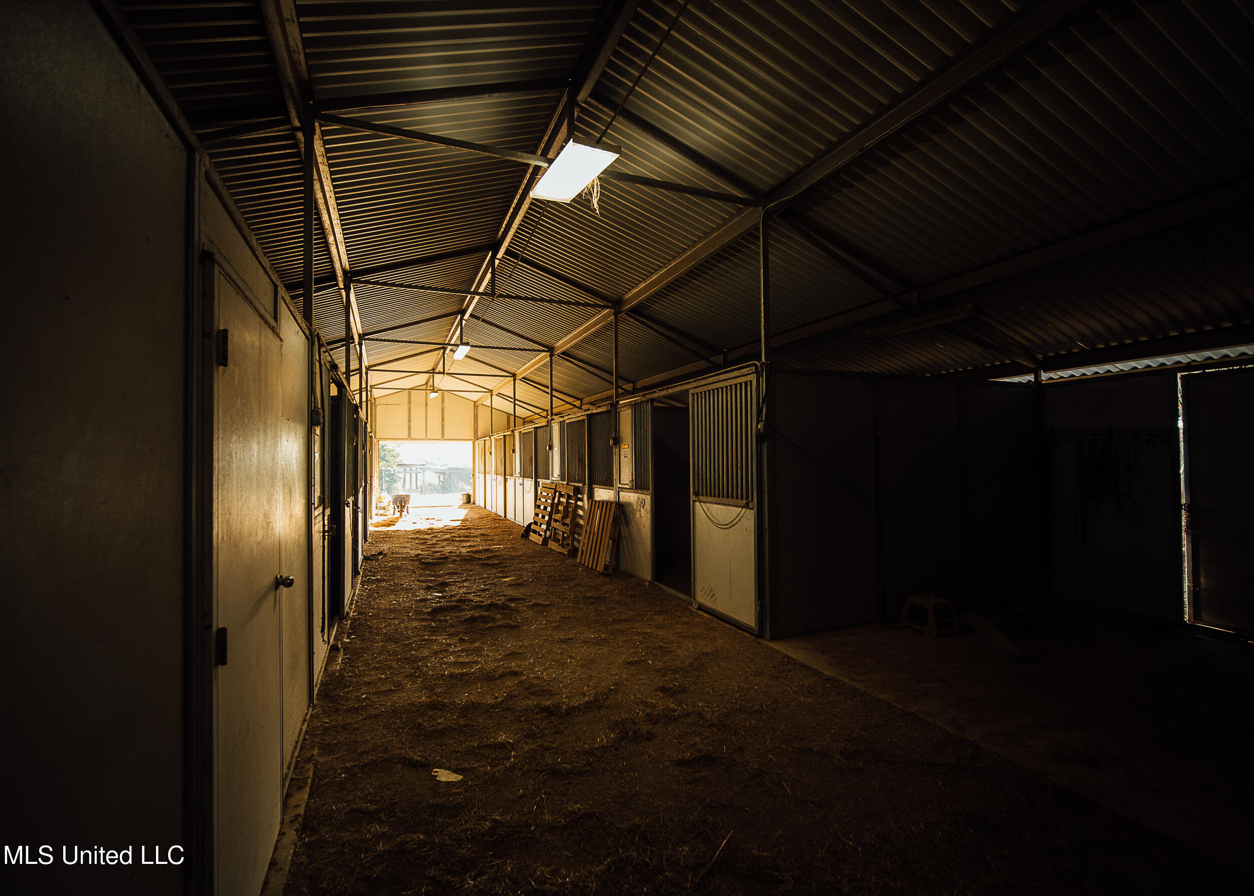 11657 Vaughan Road Property Photo 55