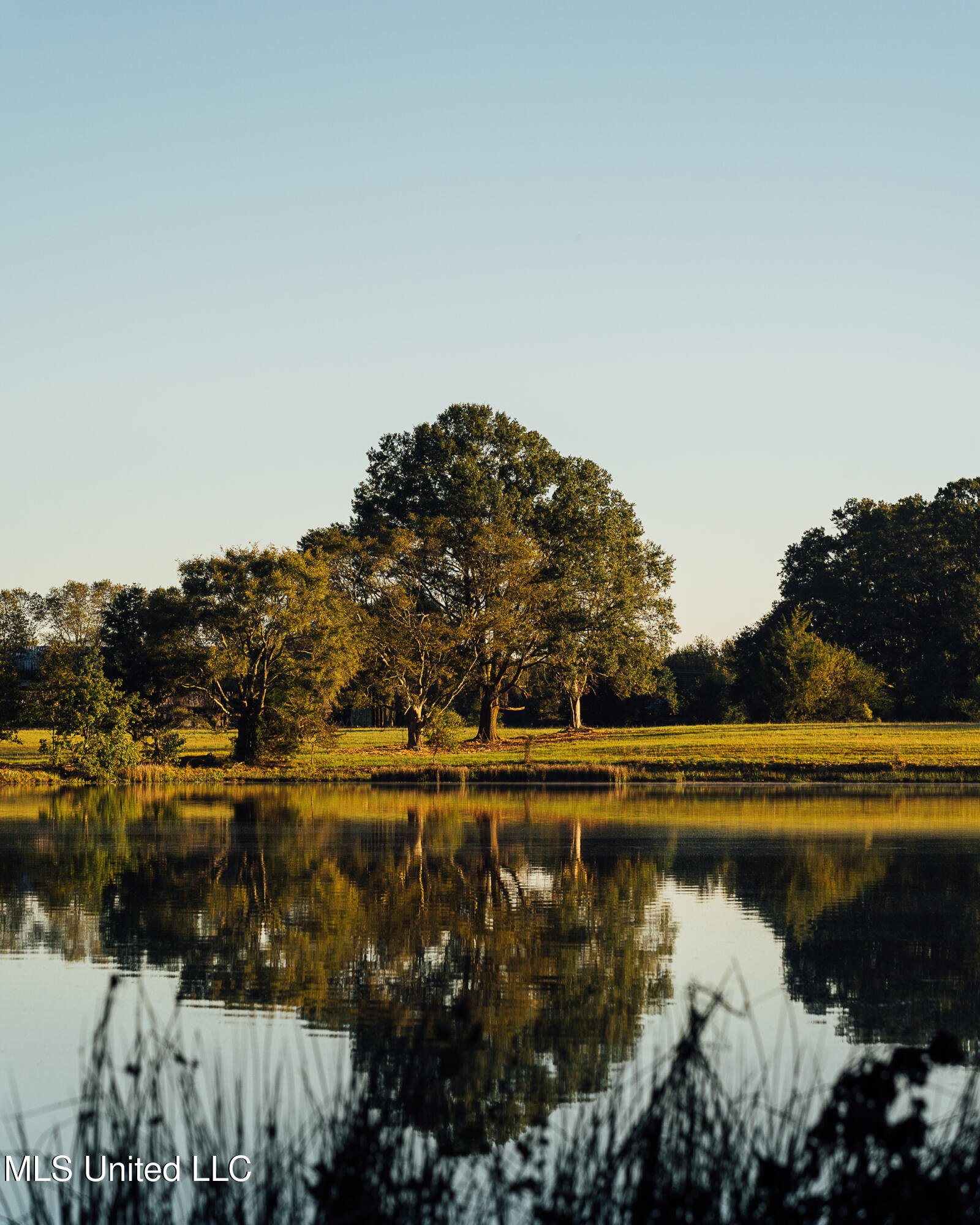 11657 Vaughan Road Property Photo 56