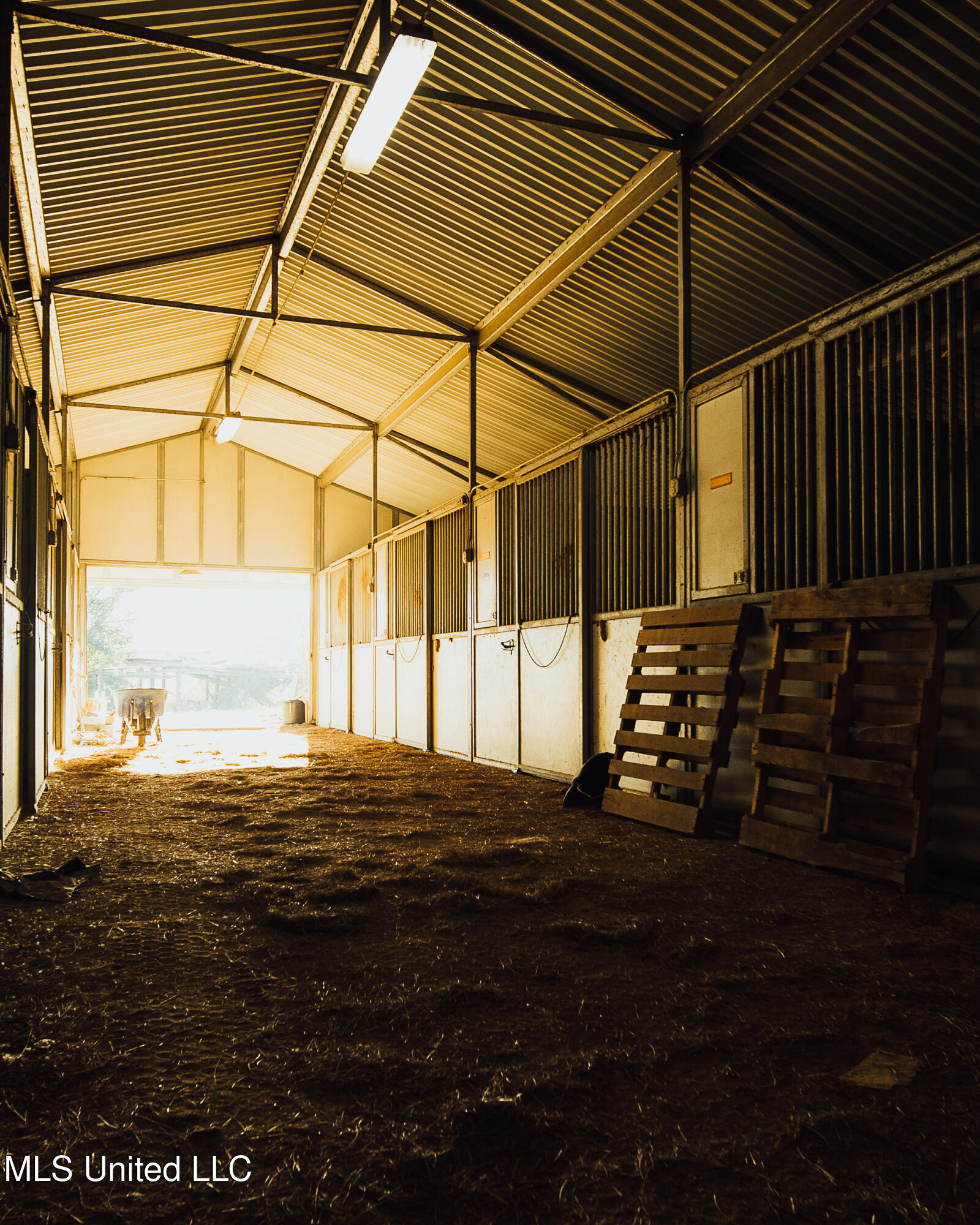 11657 Vaughan Road Property Photo 58