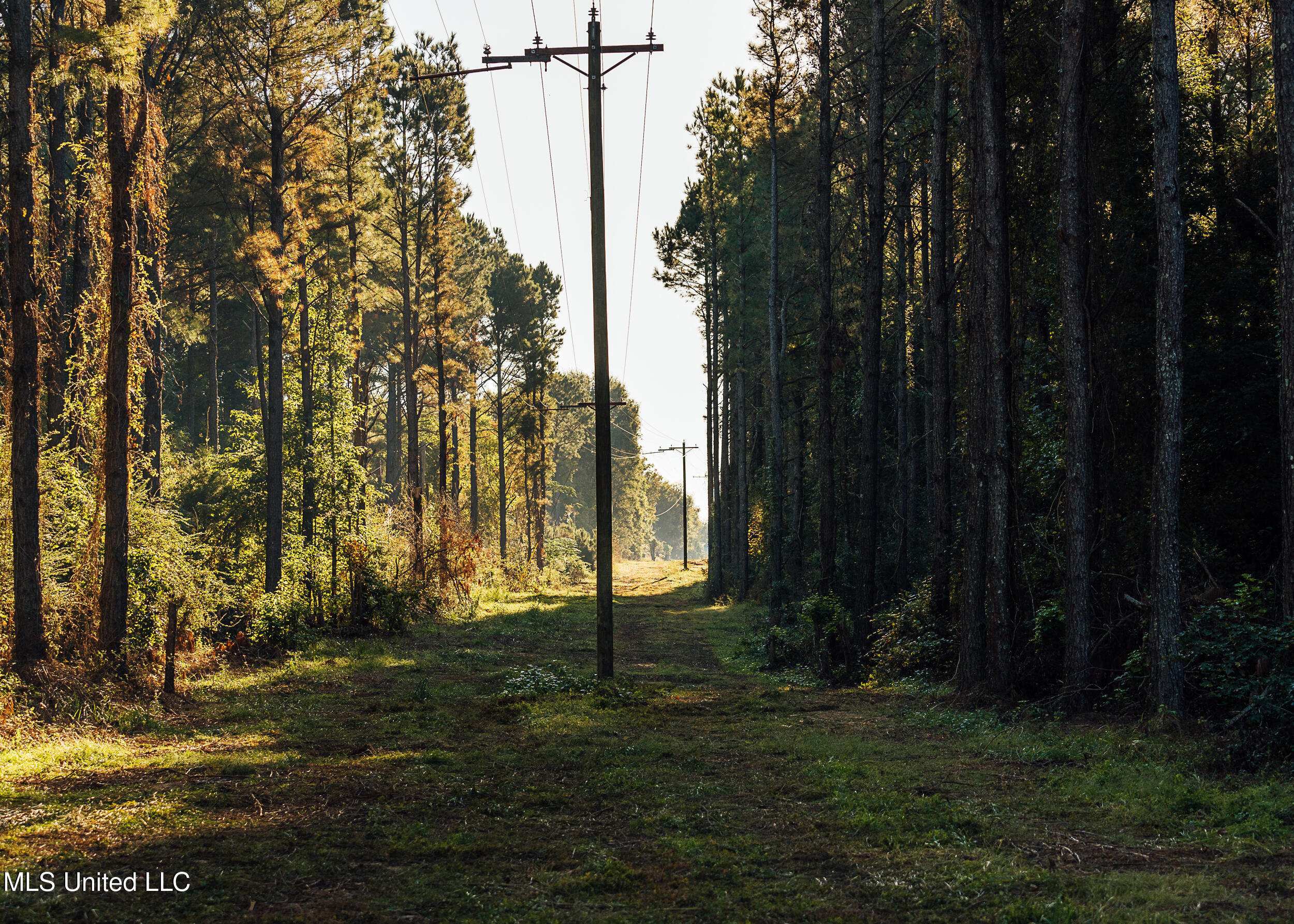 11657 Vaughan Road Property Photo 59