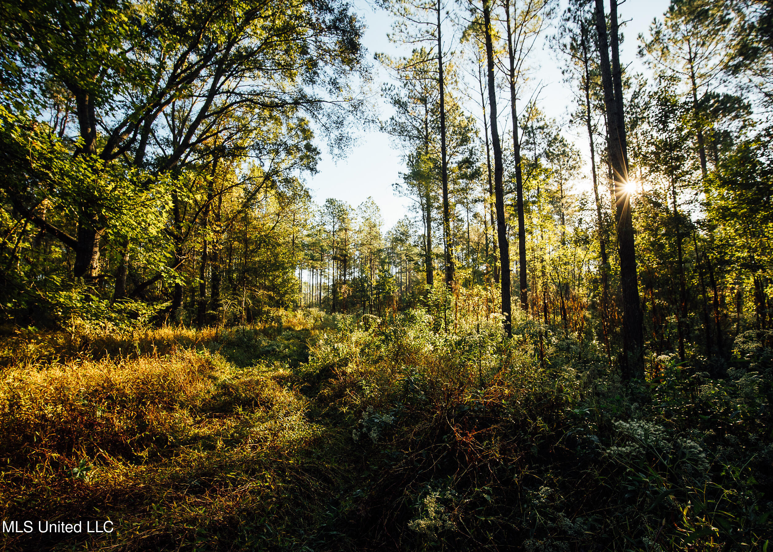 11657 Vaughan Road Property Photo 60