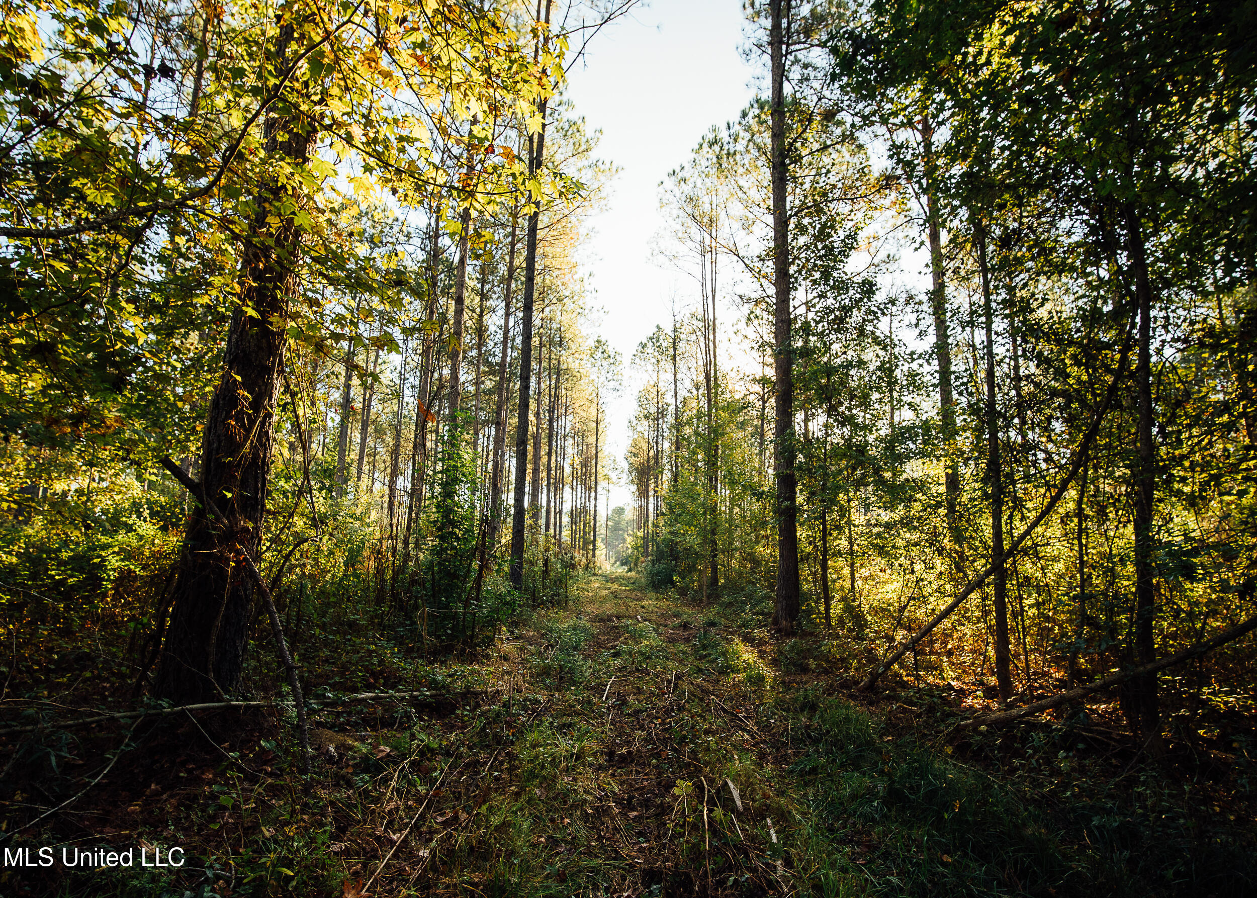 11657 Vaughan Road Property Photo 61