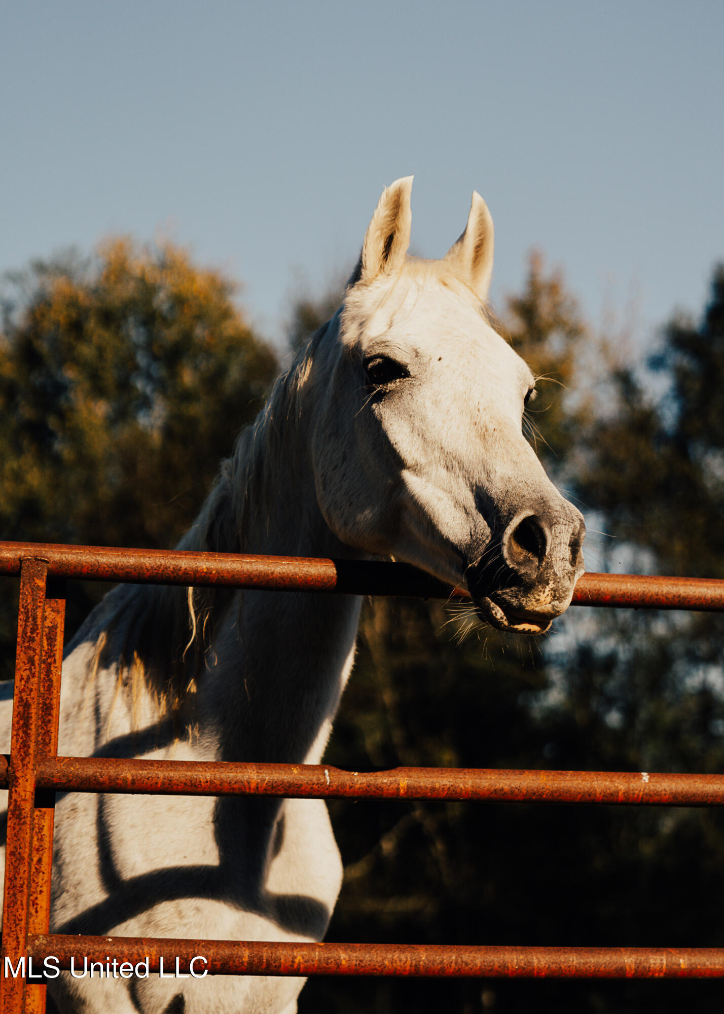 11657 Vaughan Road Property Photo 79