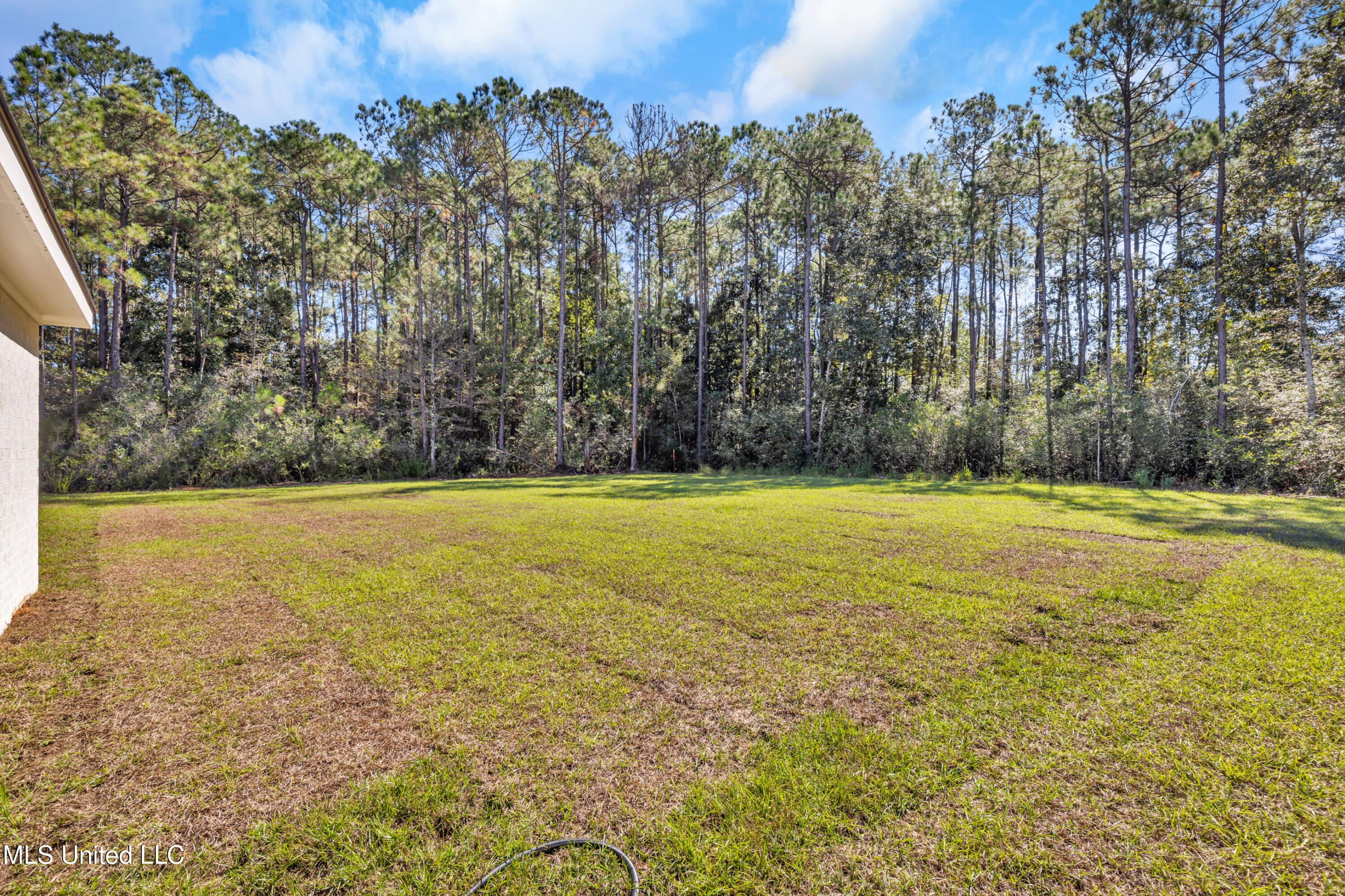 3516 Raintree Drive Property Photo 25