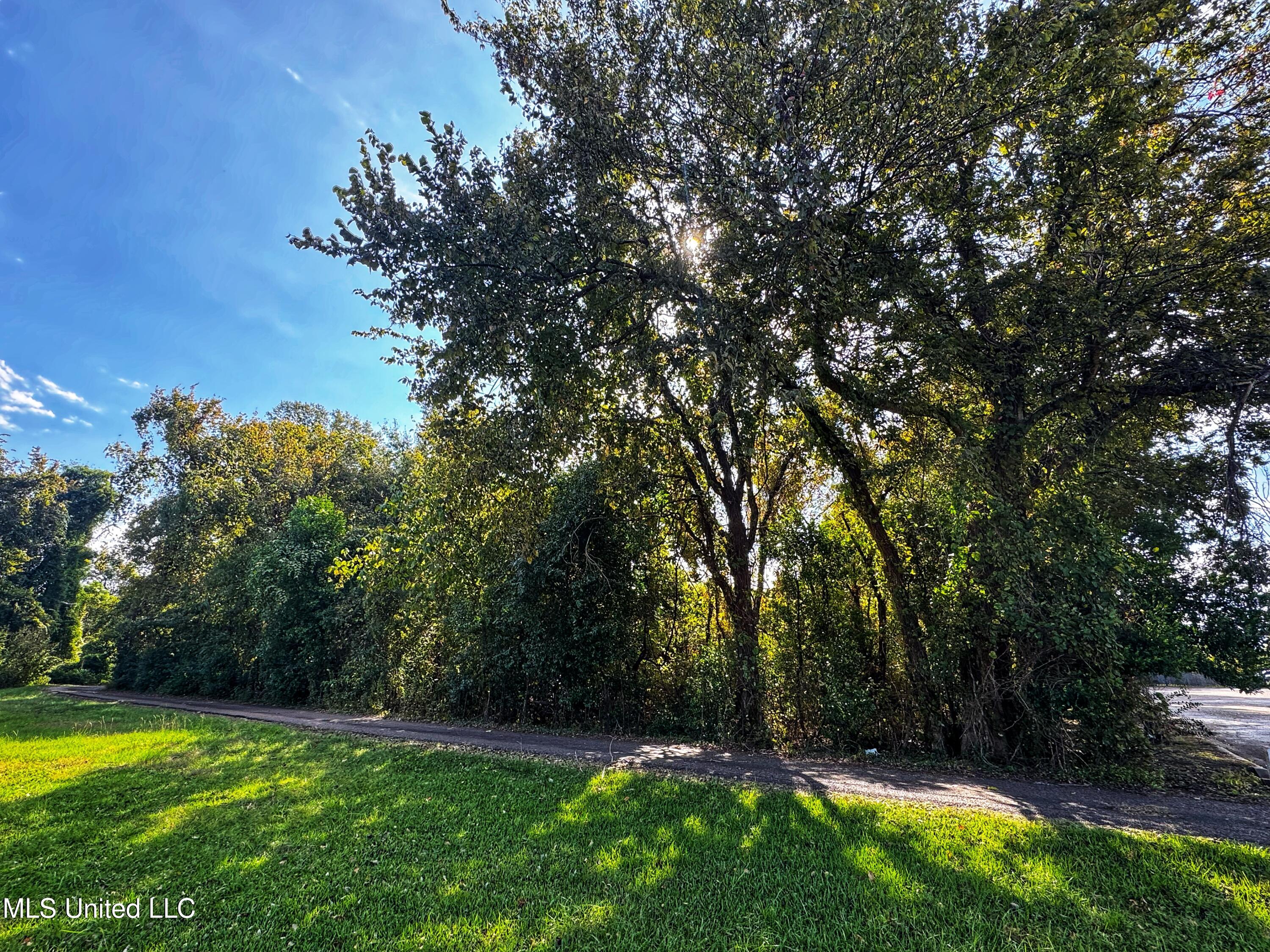 Hwy 61 Property Photo 2