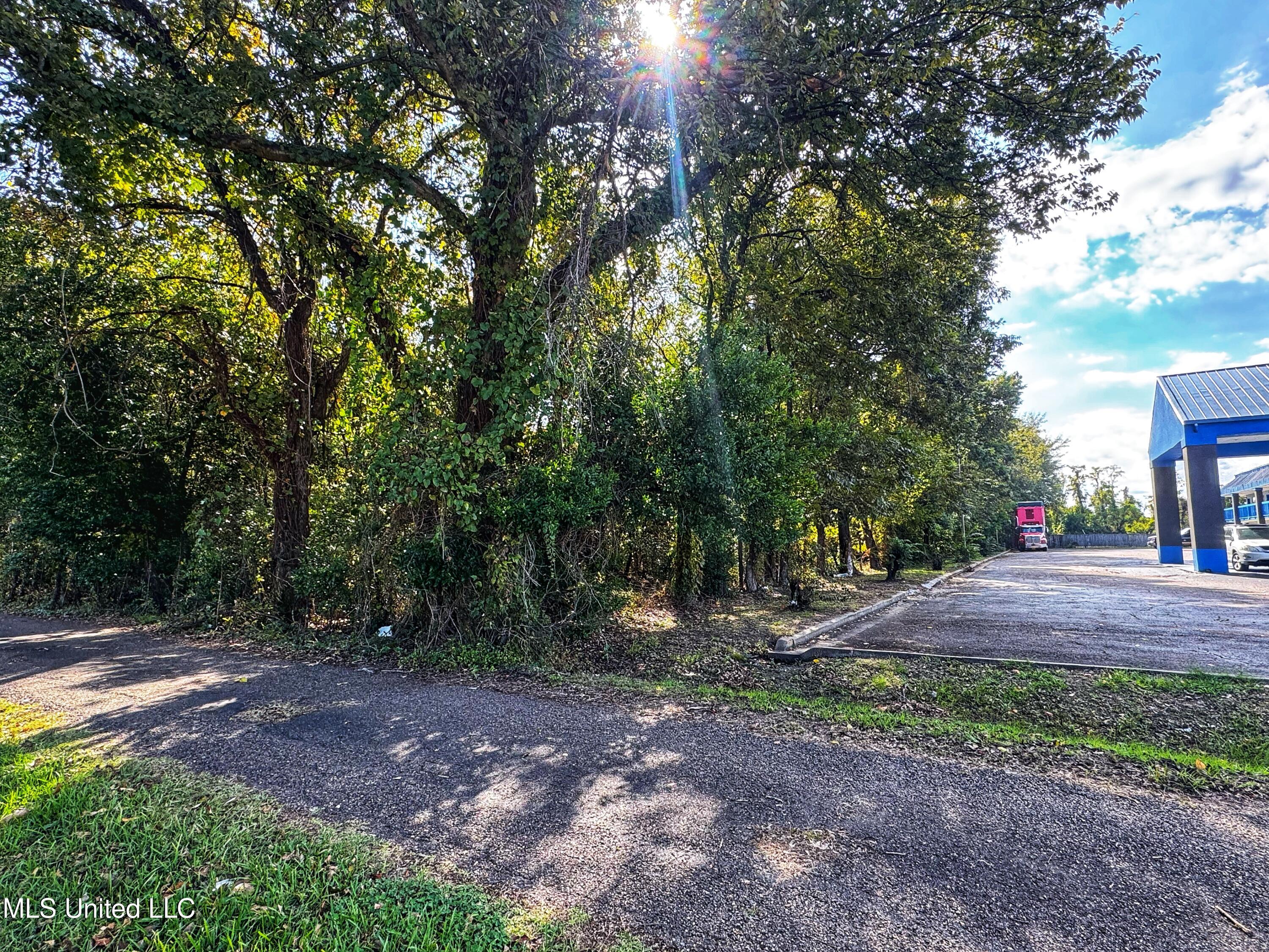 Hwy 61 Property Photo 4