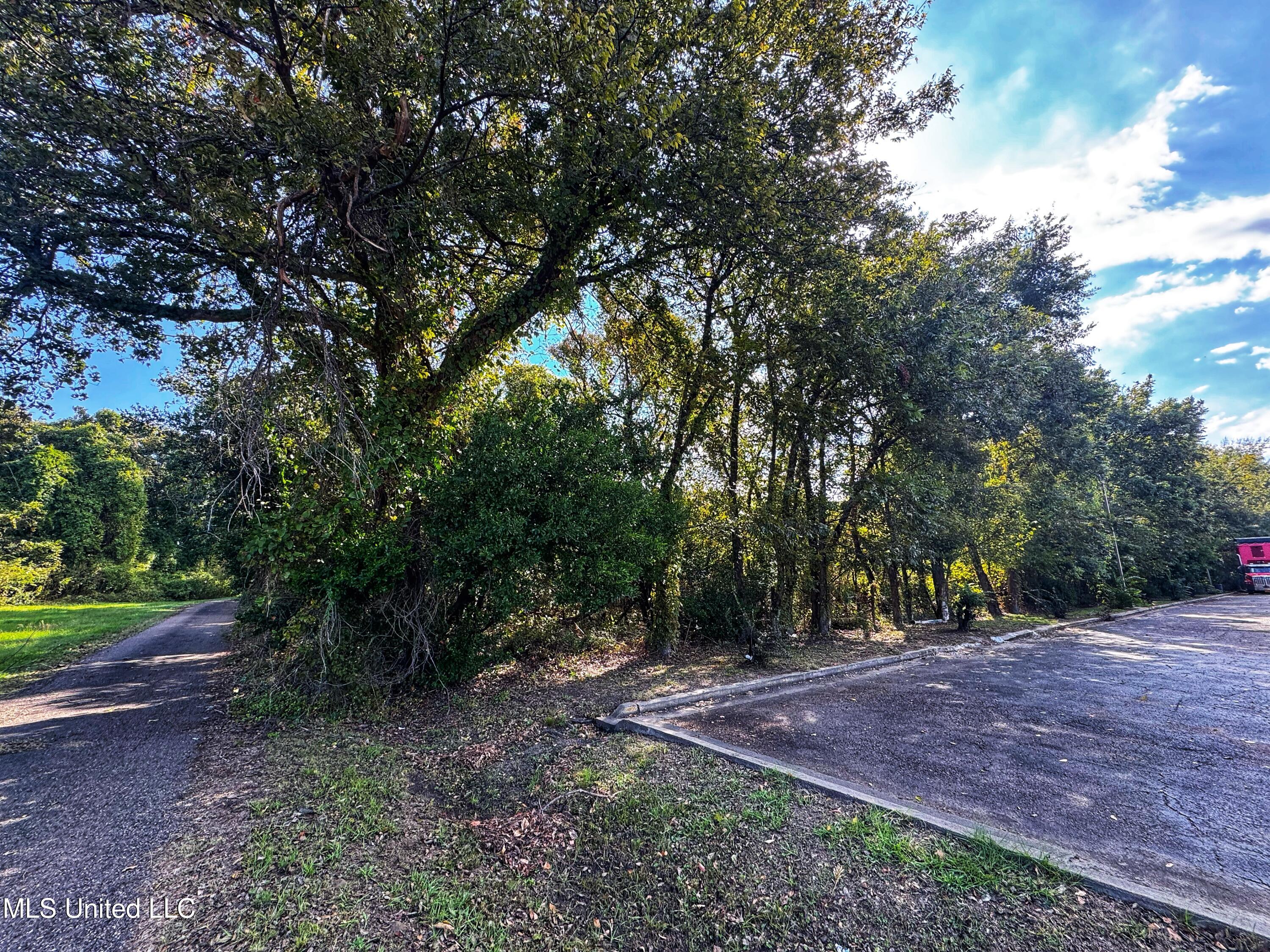 Hwy 61 Property Photo 5