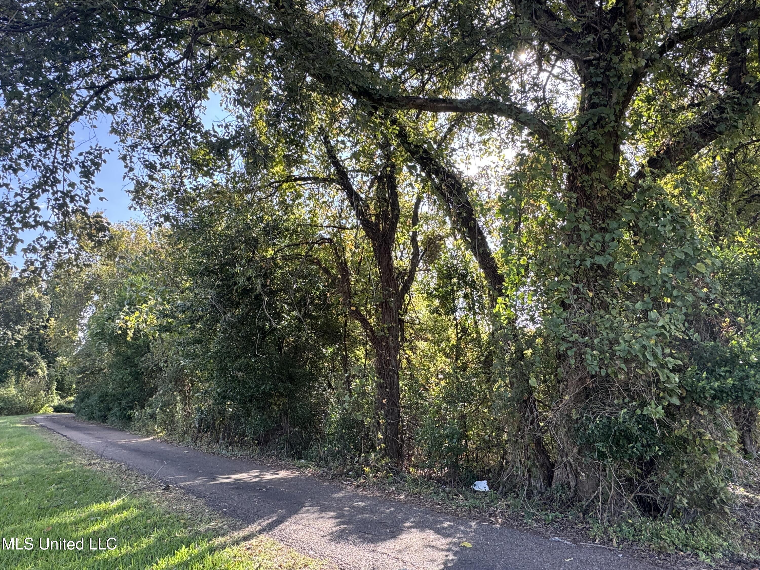 Hwy 61 Property Photo 6