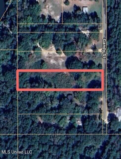 214b Gandy Street Property Photo 2