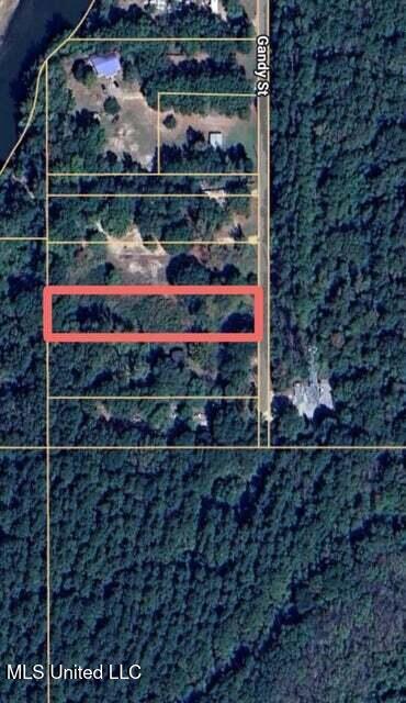 214b Gandy Street Property Photo 3