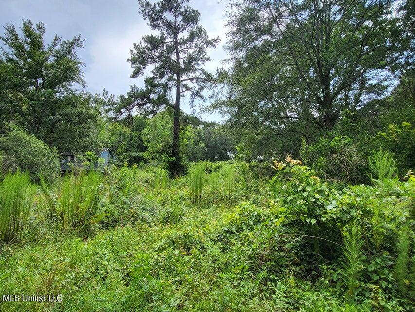 214b Gandy Street Property Photo 4