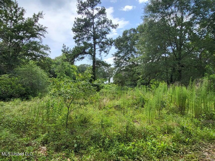 214b Gandy Street Property Photo 5