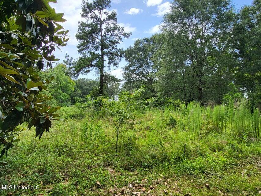 214b Gandy Street Property Photo 6