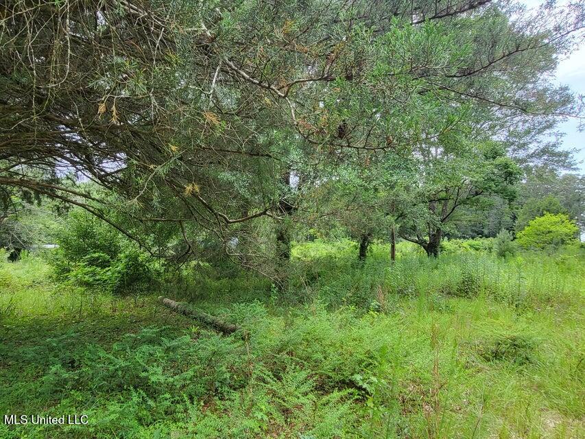 214b Gandy Street Property Photo 7