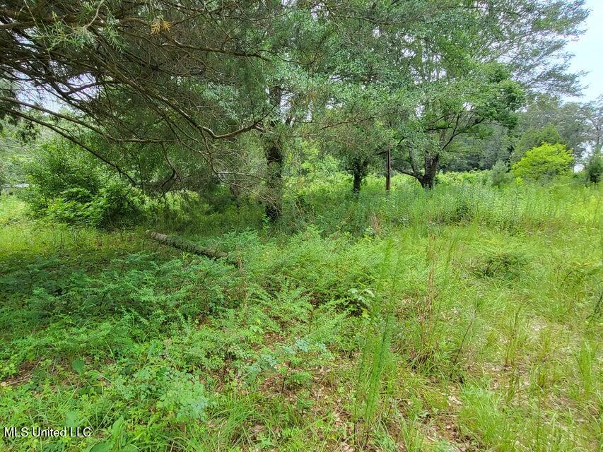 214b Gandy Street Property Photo 8