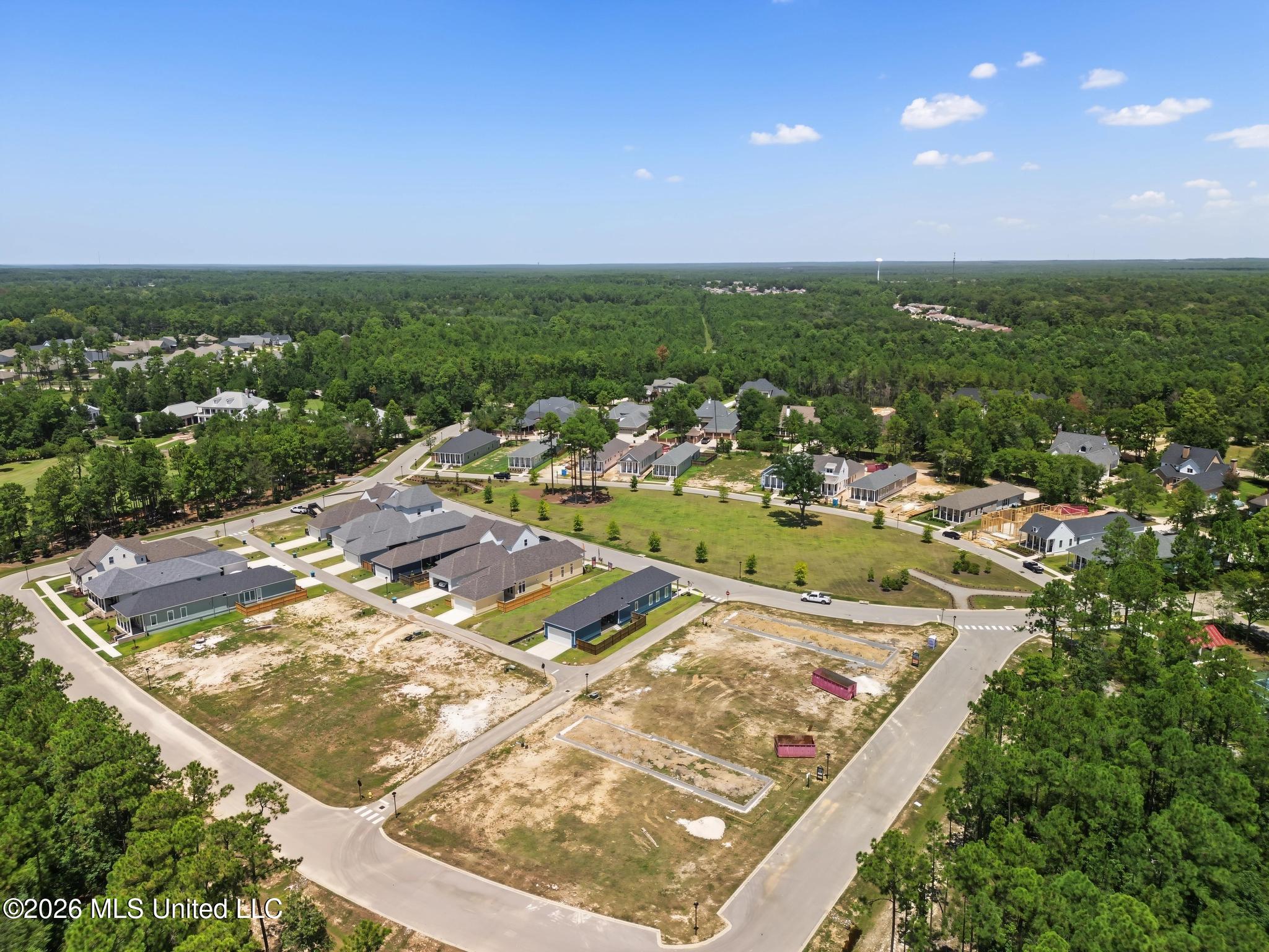 12339 Anise Court Property Photo 42