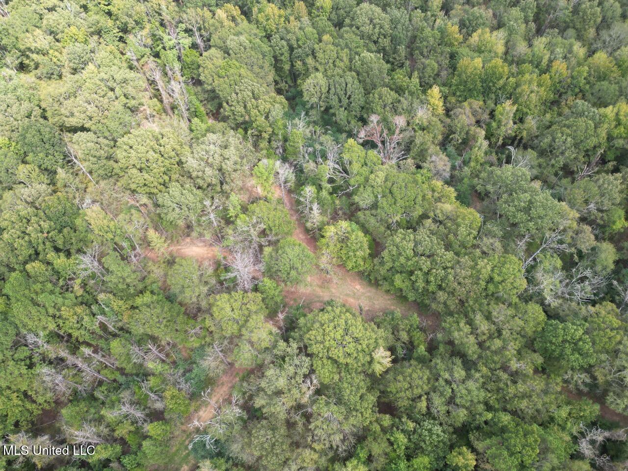 9200 Sawmill Road Property Photo 3