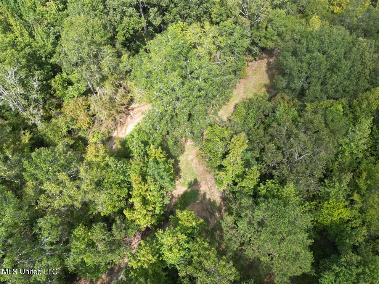 9200 Sawmill Road Property Photo 4