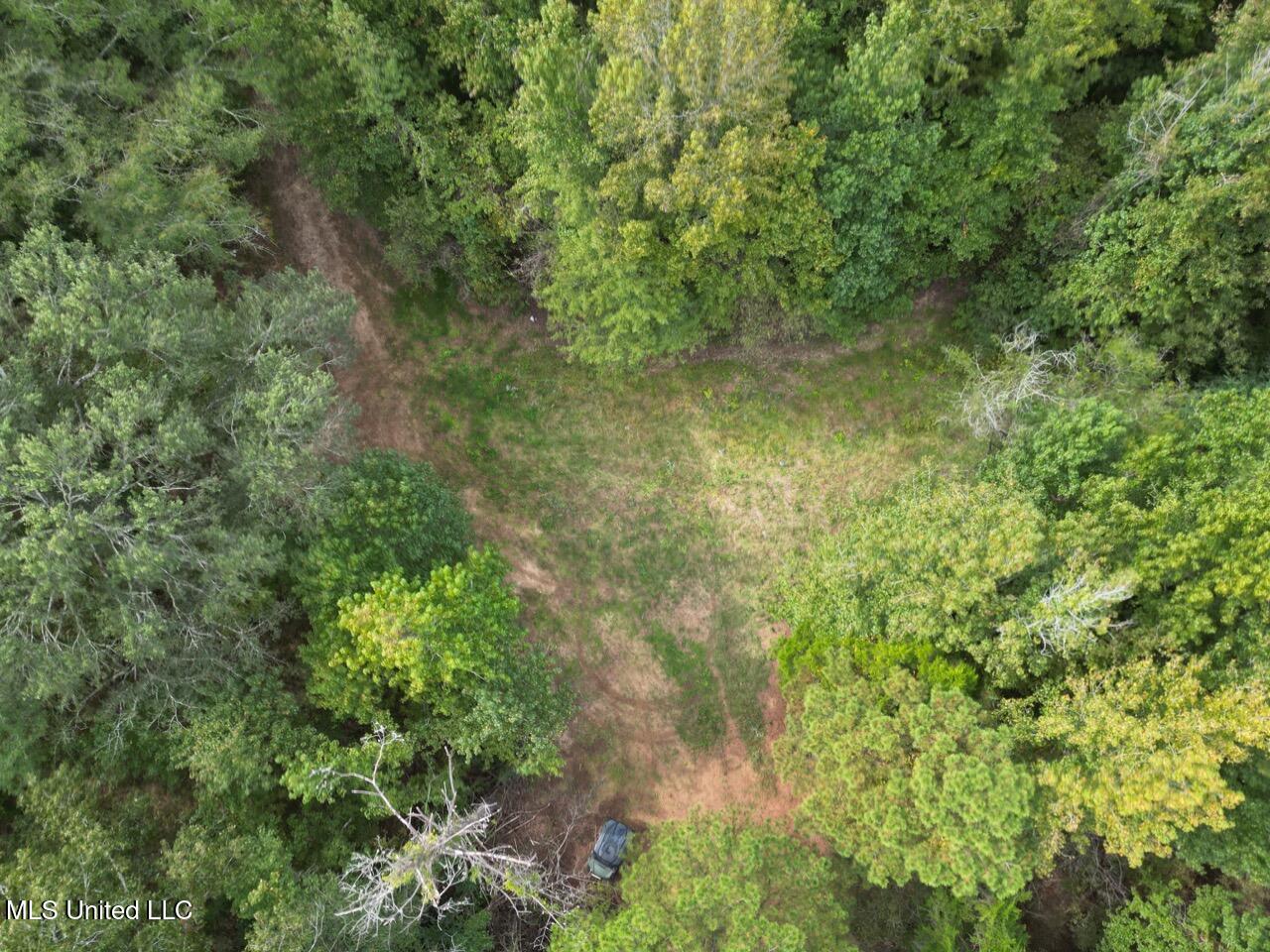 9200 Sawmill Road Property Photo 5