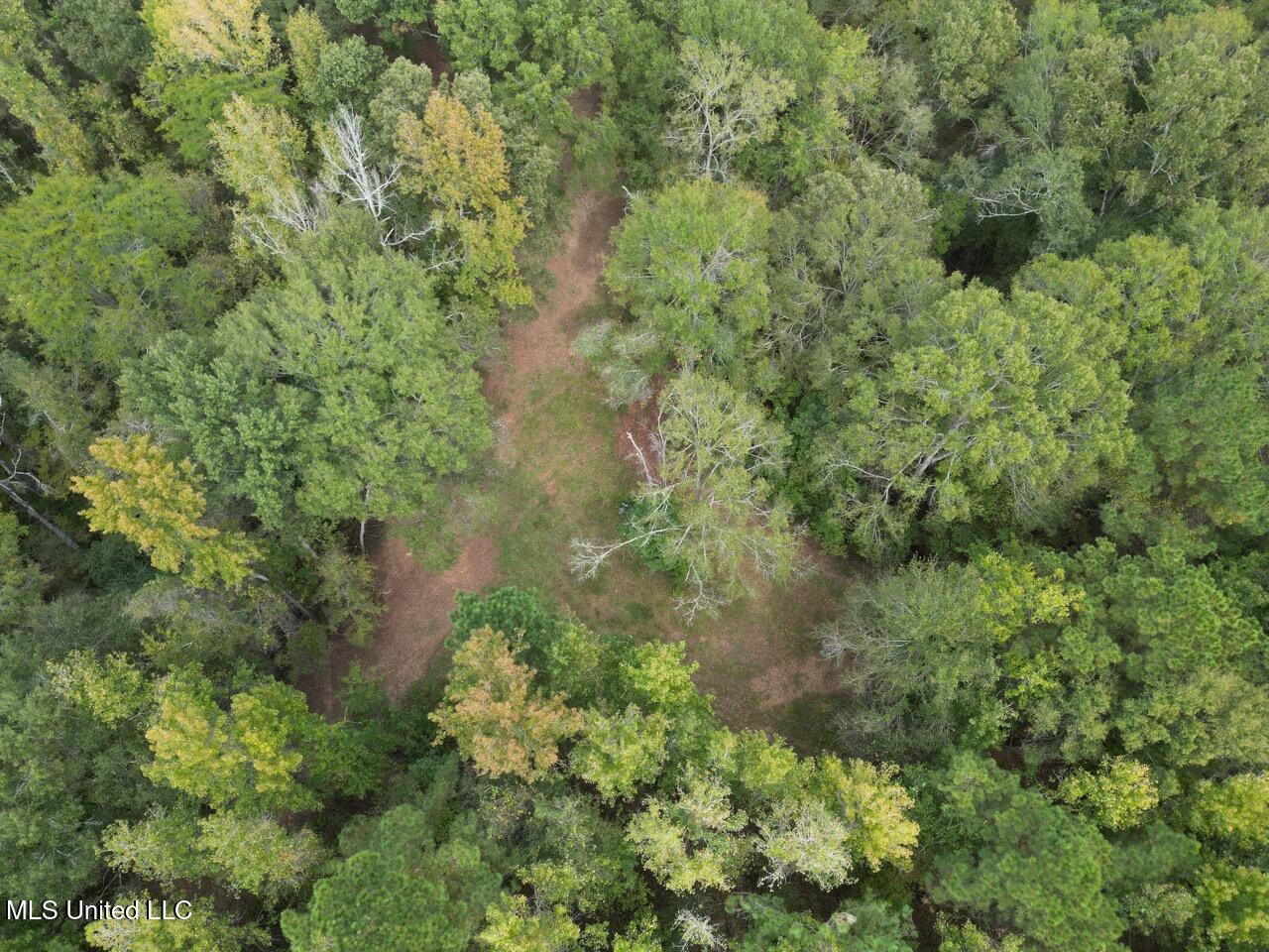 9200 Sawmill Road Property Photo 6