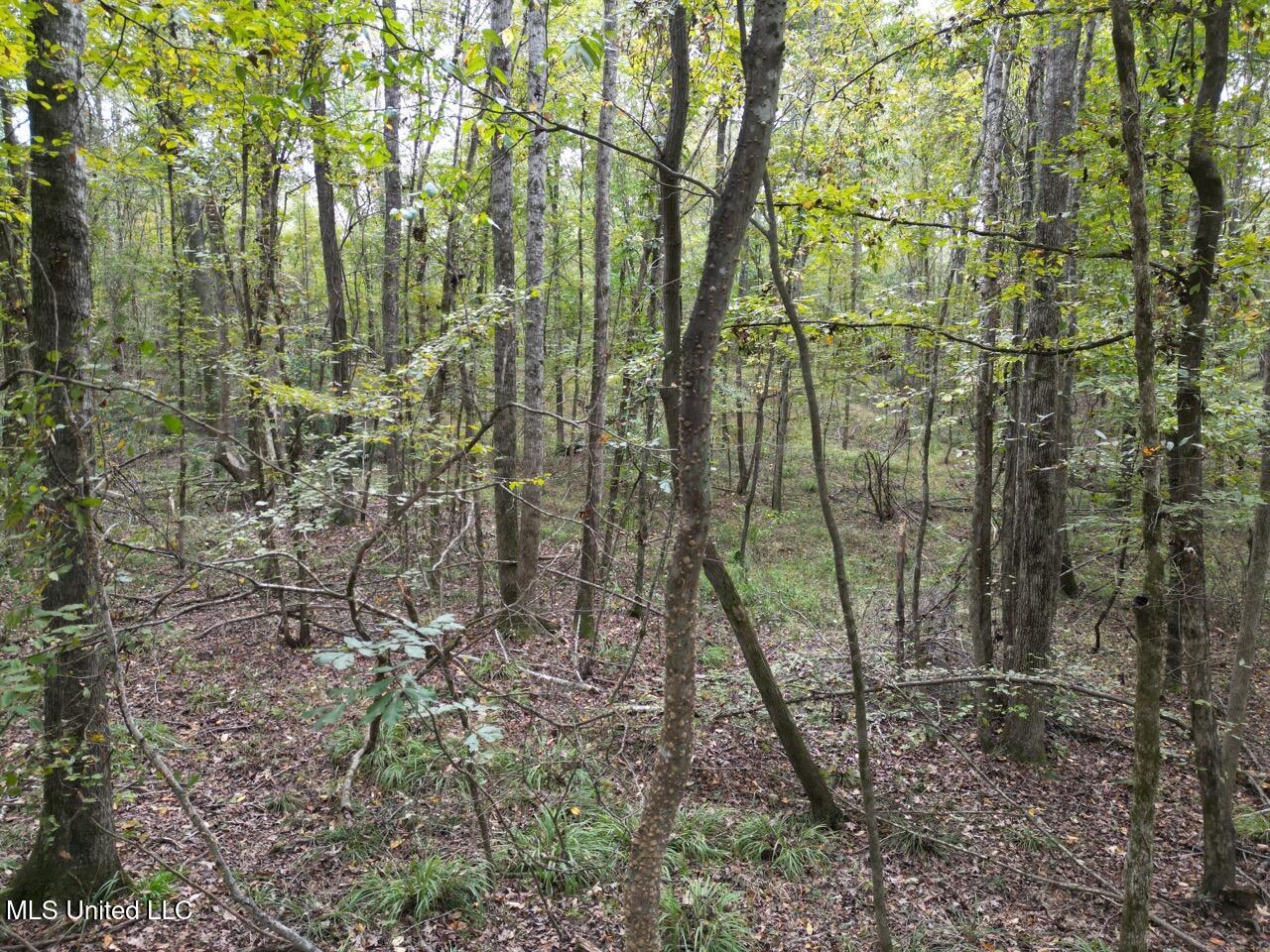 9200 Sawmill Road Property Photo 8