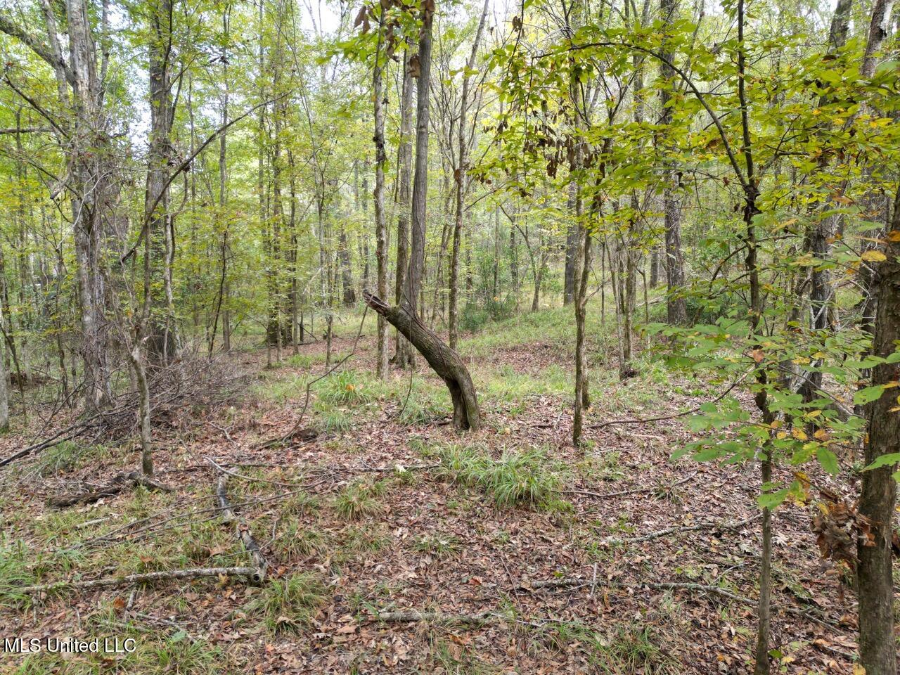 9200 Sawmill Road Property Photo 9