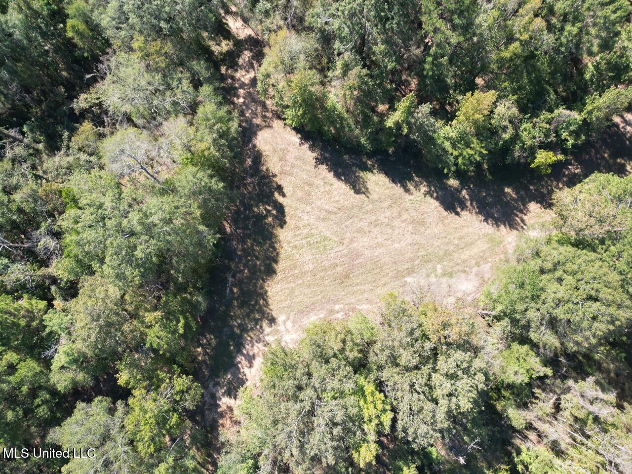 9200 Sawmill Road Property Photo 10