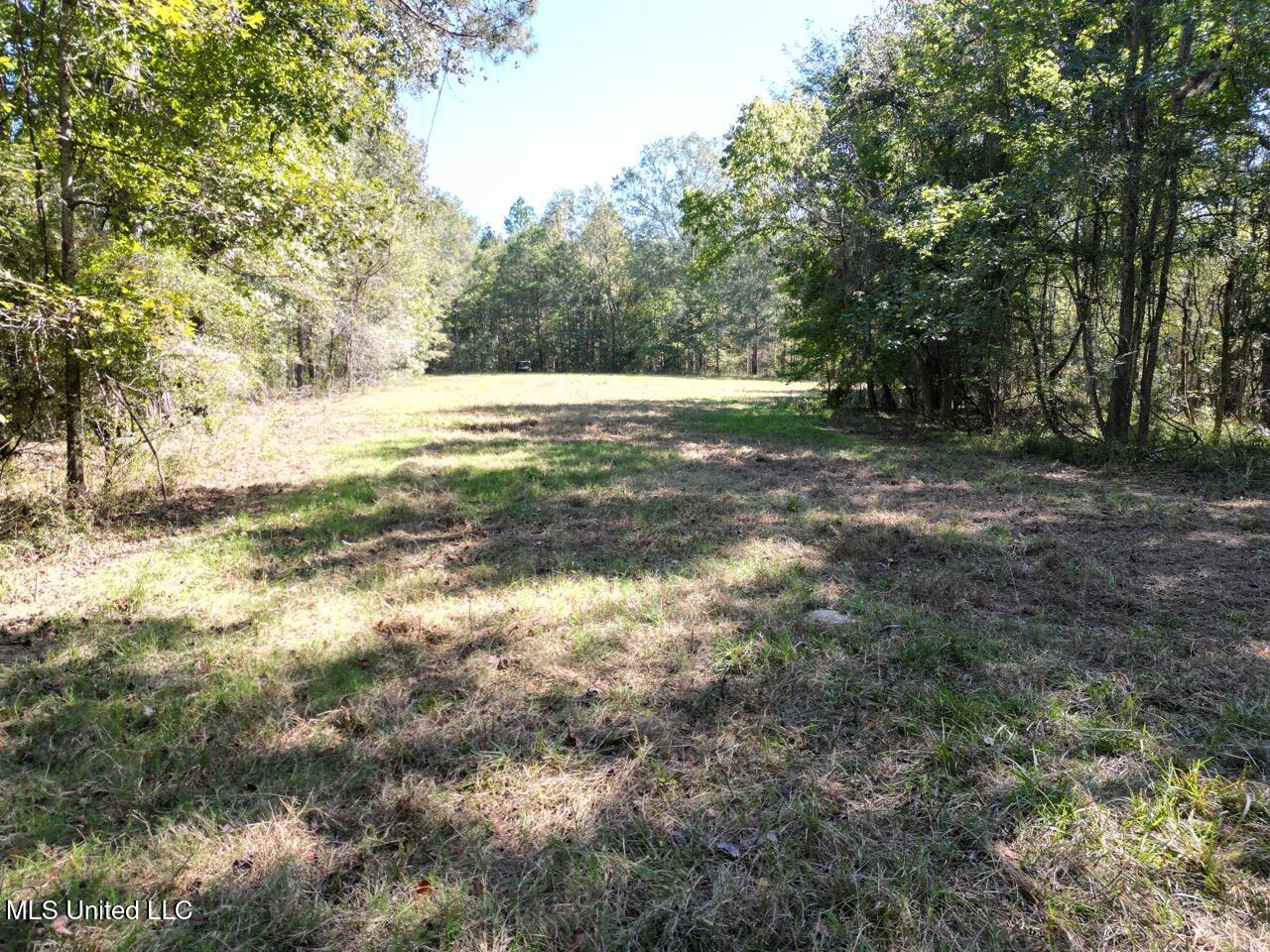 9200 Sawmill Road Property Photo 11