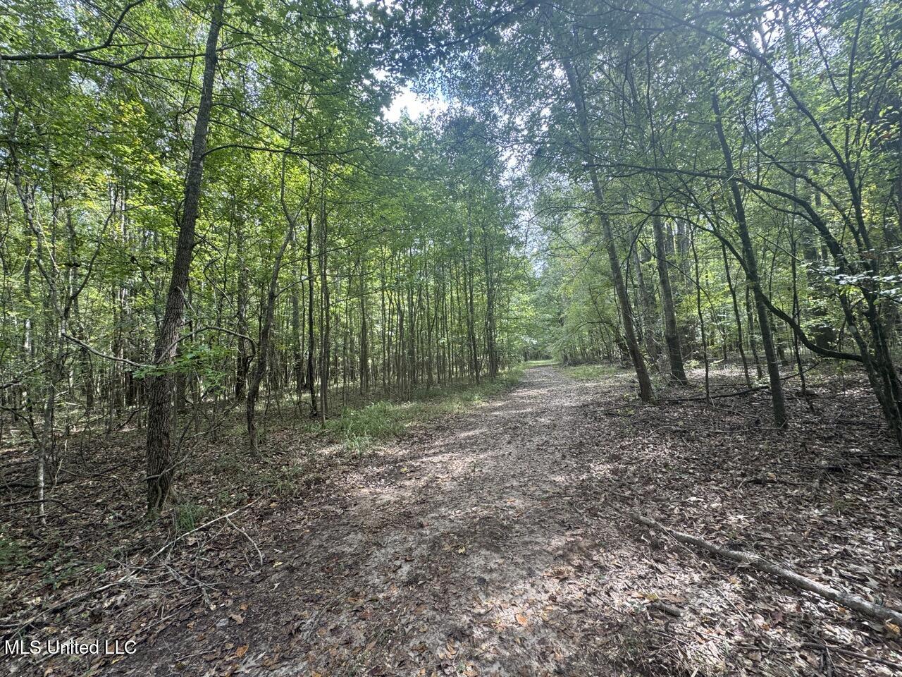 9200 Sawmill Road Property Photo 13