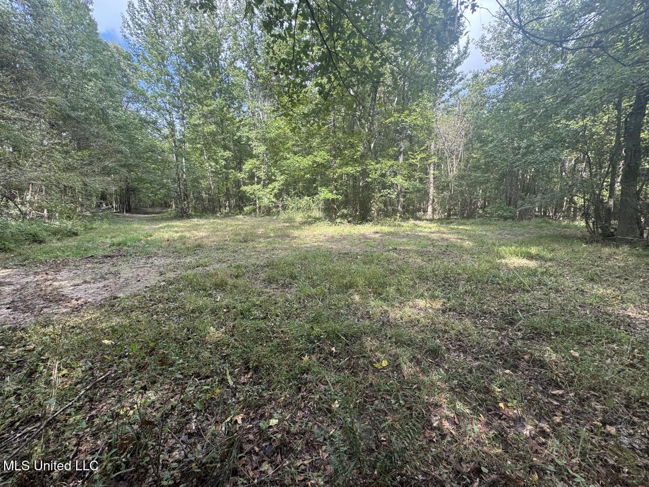 9200 Sawmill Road Property Photo 14